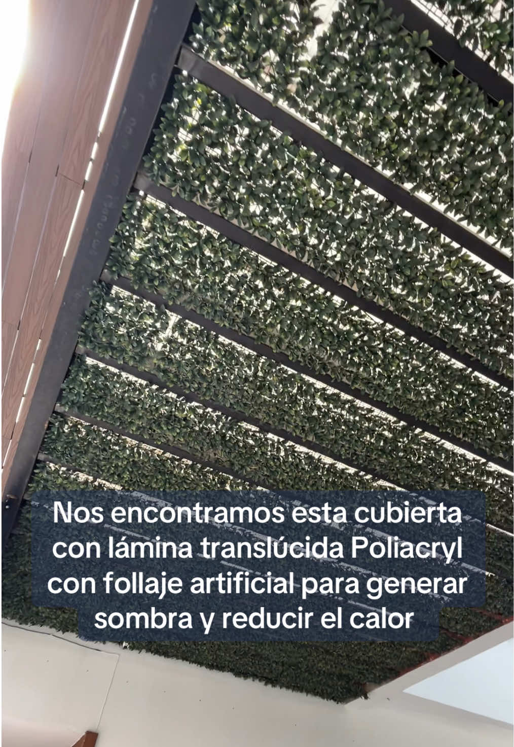 @PolicasaQro