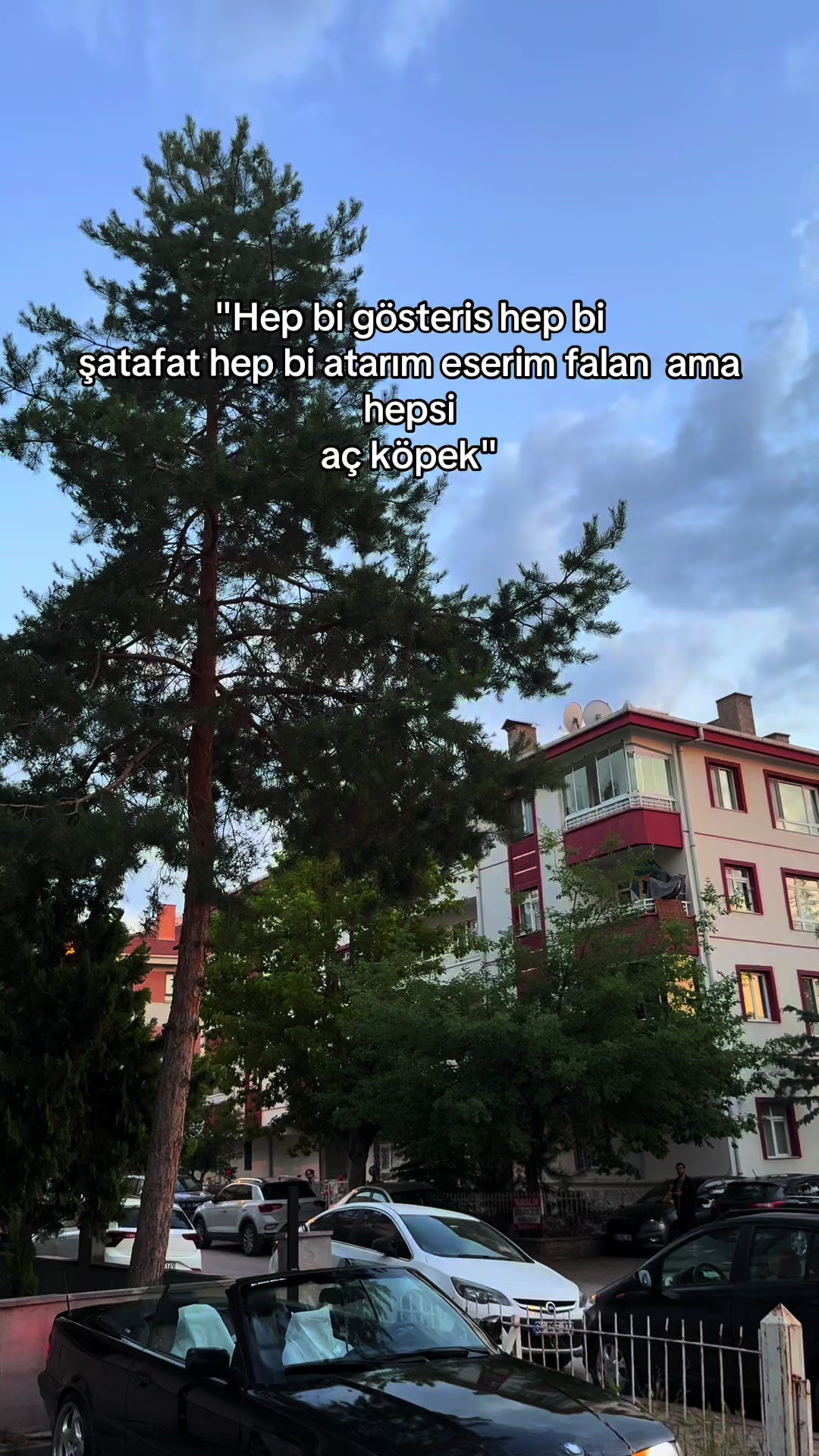 @deniz_ogz