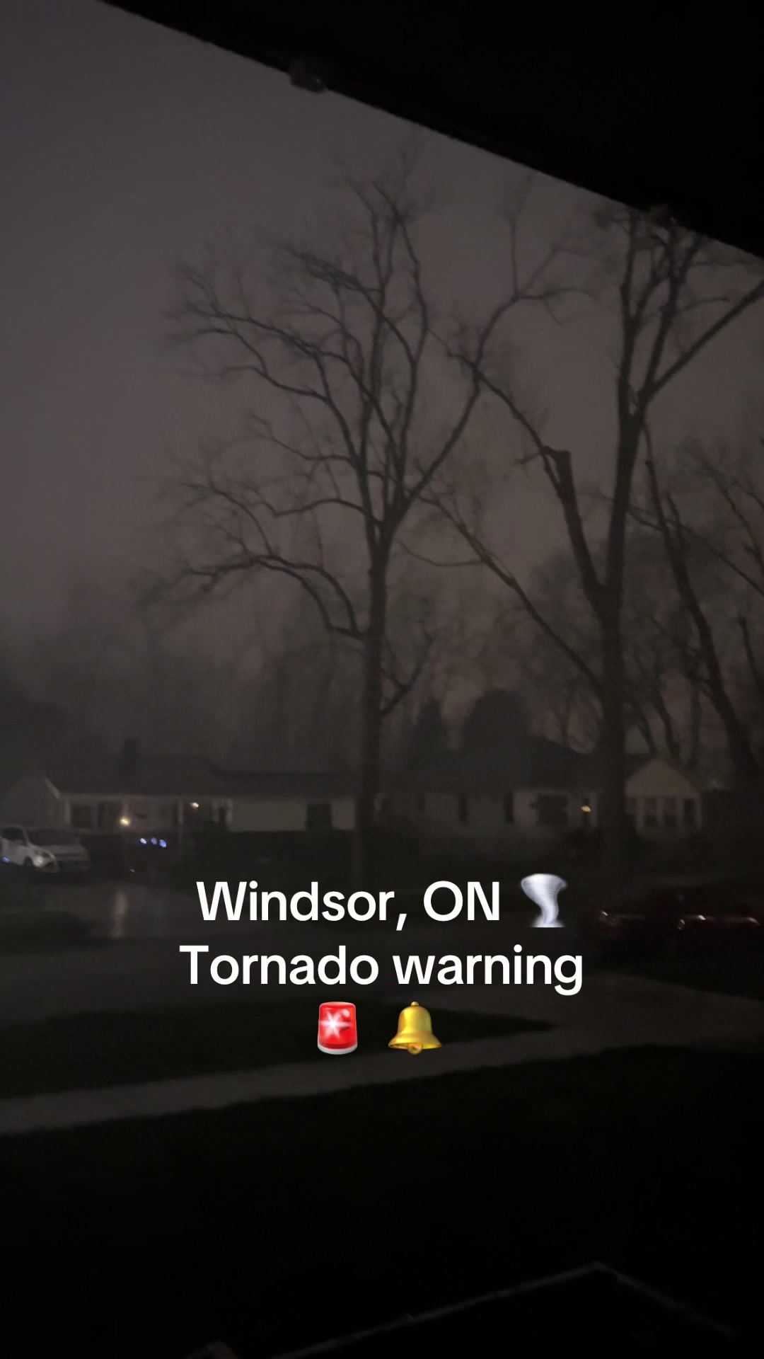 @John_Tammy🇨🇦