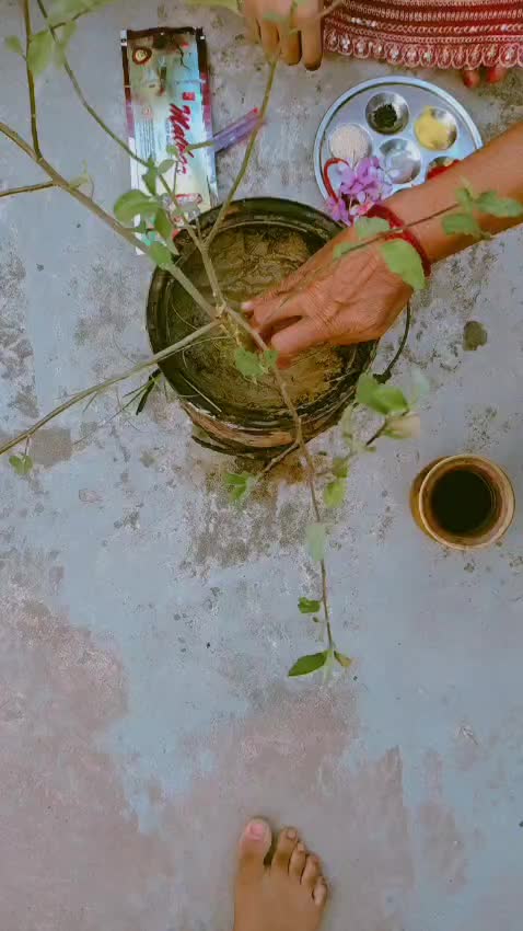 @geetagupta4831