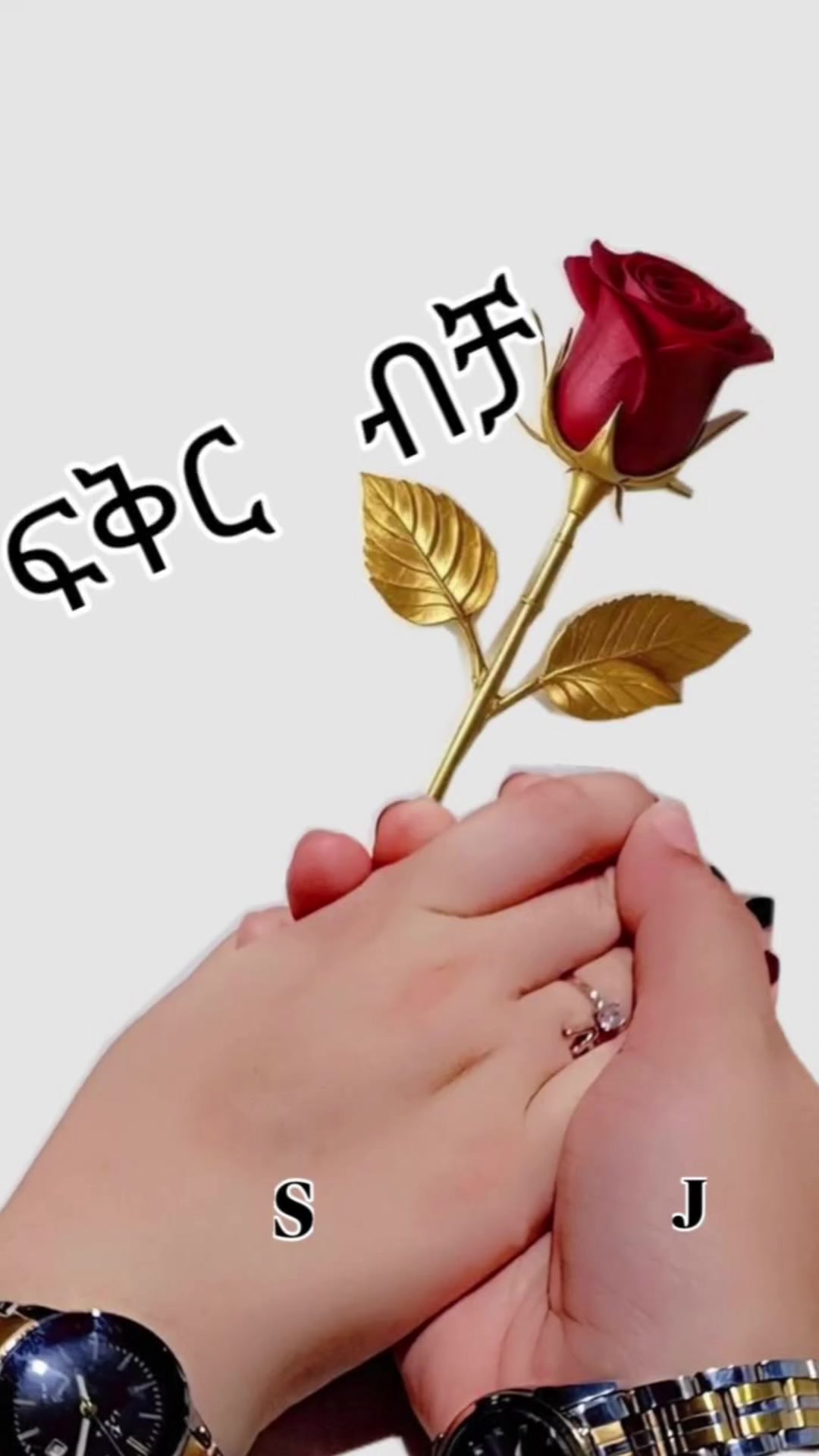 @๊งโโก๐๐๐๐ ๐๐ฝ๐๐๐ฑ๐โโโคโ