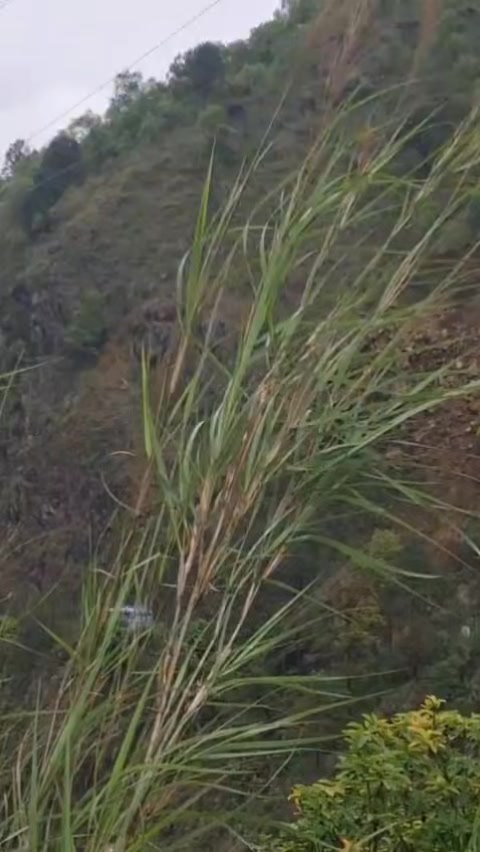 @Arun shahi