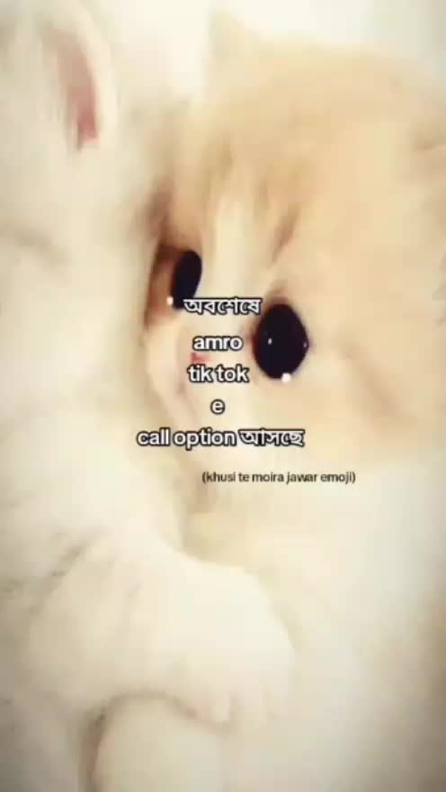 @_𝐒𝐮𝐡𝐚 𝐌𝐨𝐫𝐜𝐡𝐞:)🥲🥀