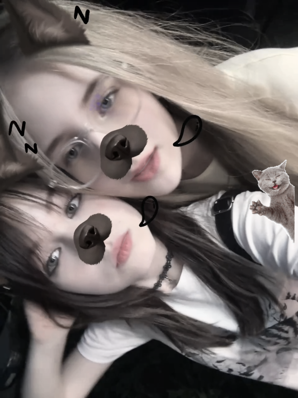 @Лифонова