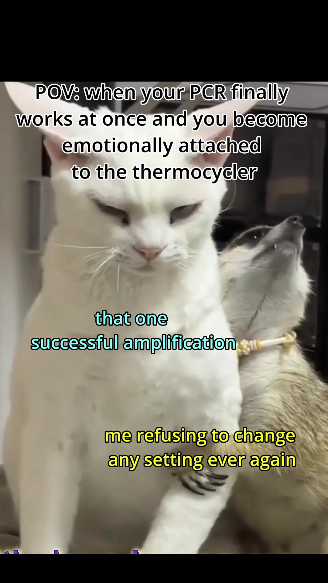 @Biologyto