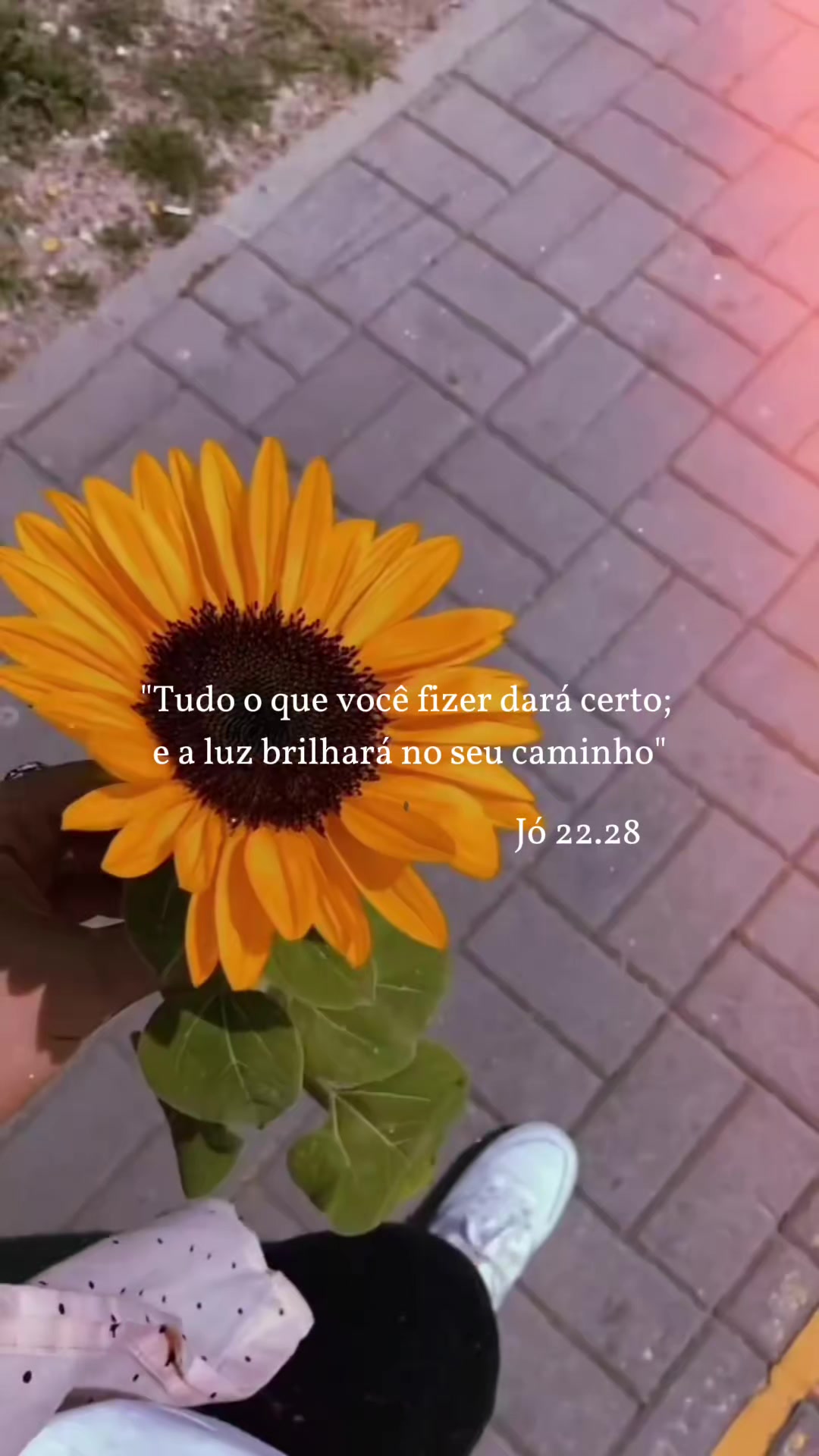 @⚡💎Mᥙᥣhᥱrᥱ᥉ dᥱ Sᥙᥴᥱ᥉᥉᥆💎⚡