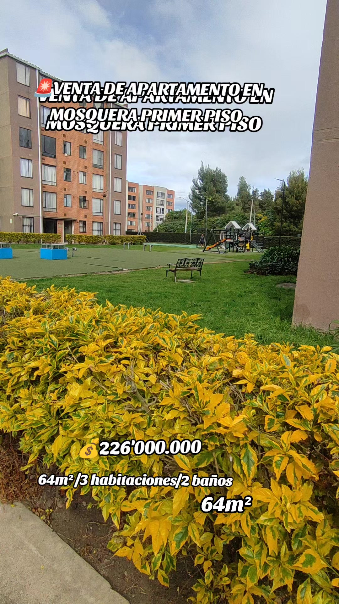 @of gold inmobiliaria
