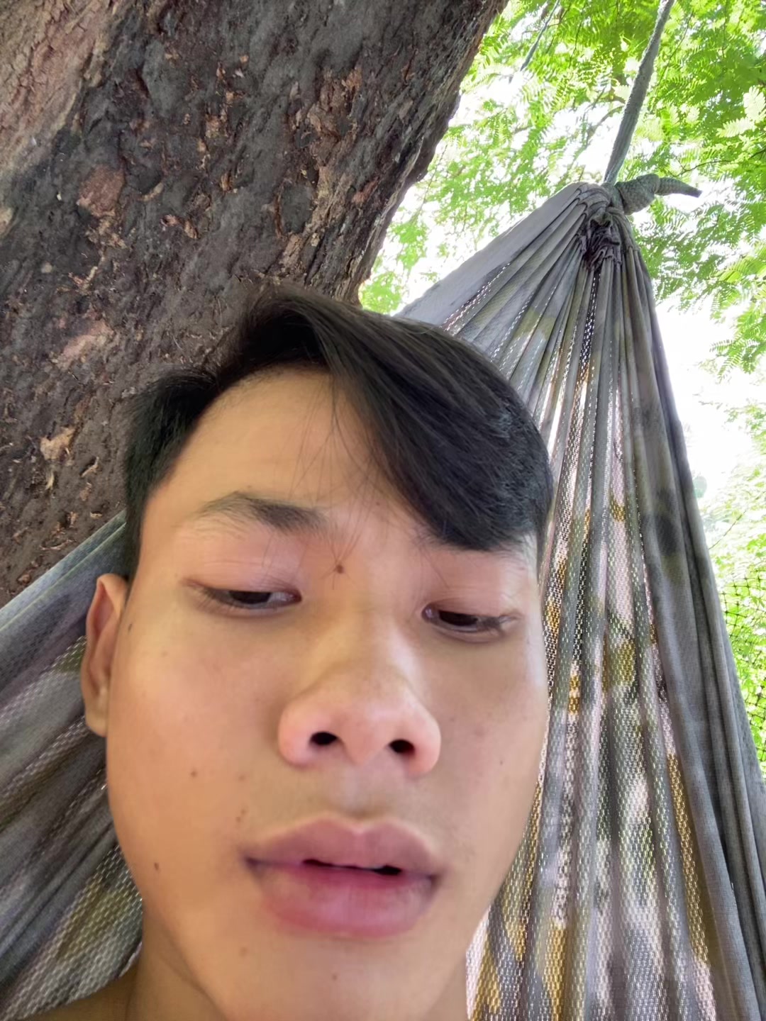 @banddz7