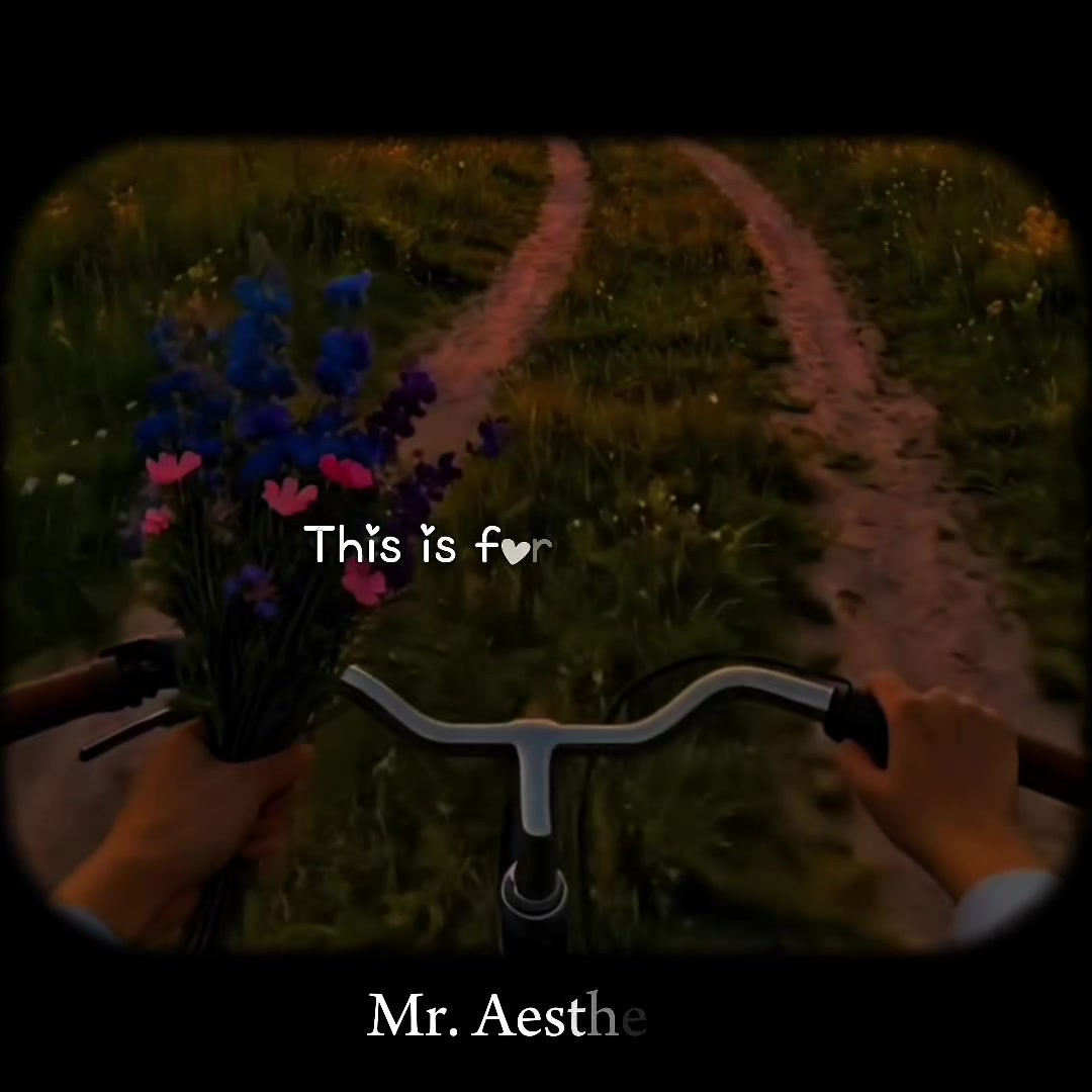 @Mr. Aesthetic