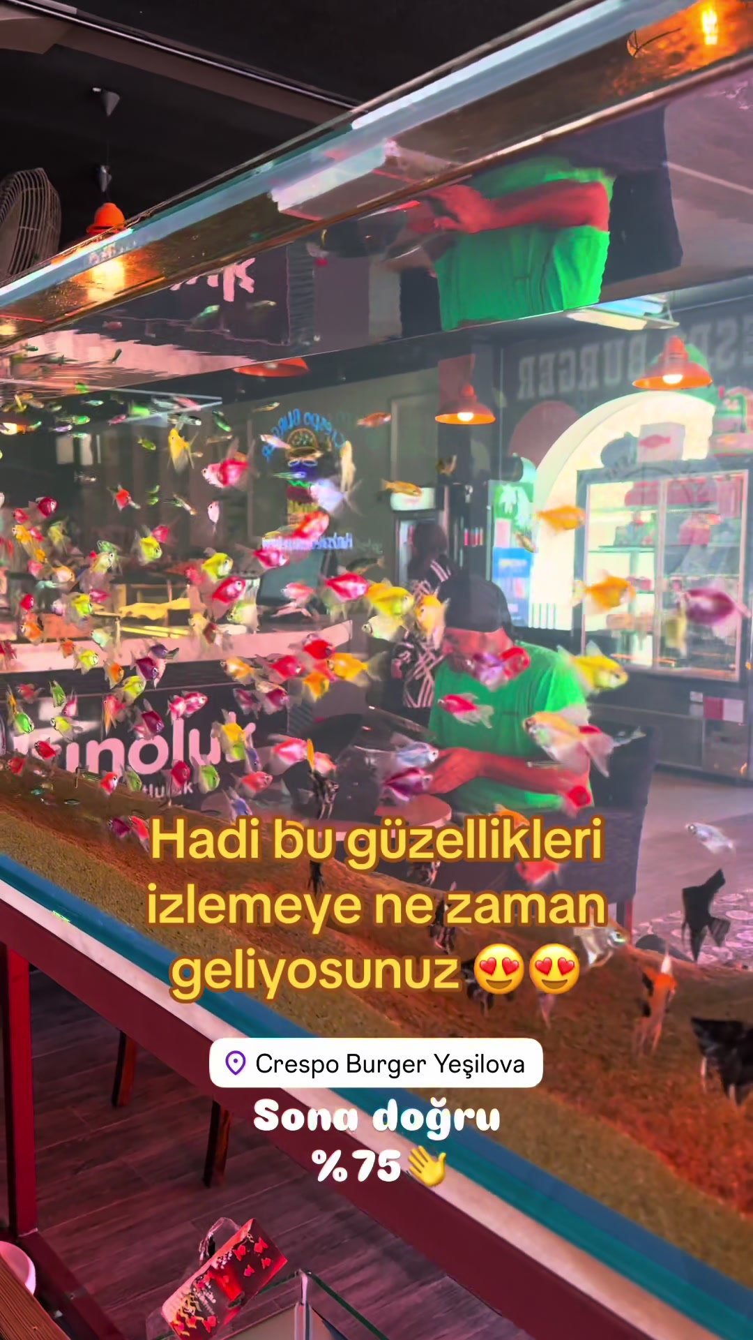 @Cüneyt Terzioğlu