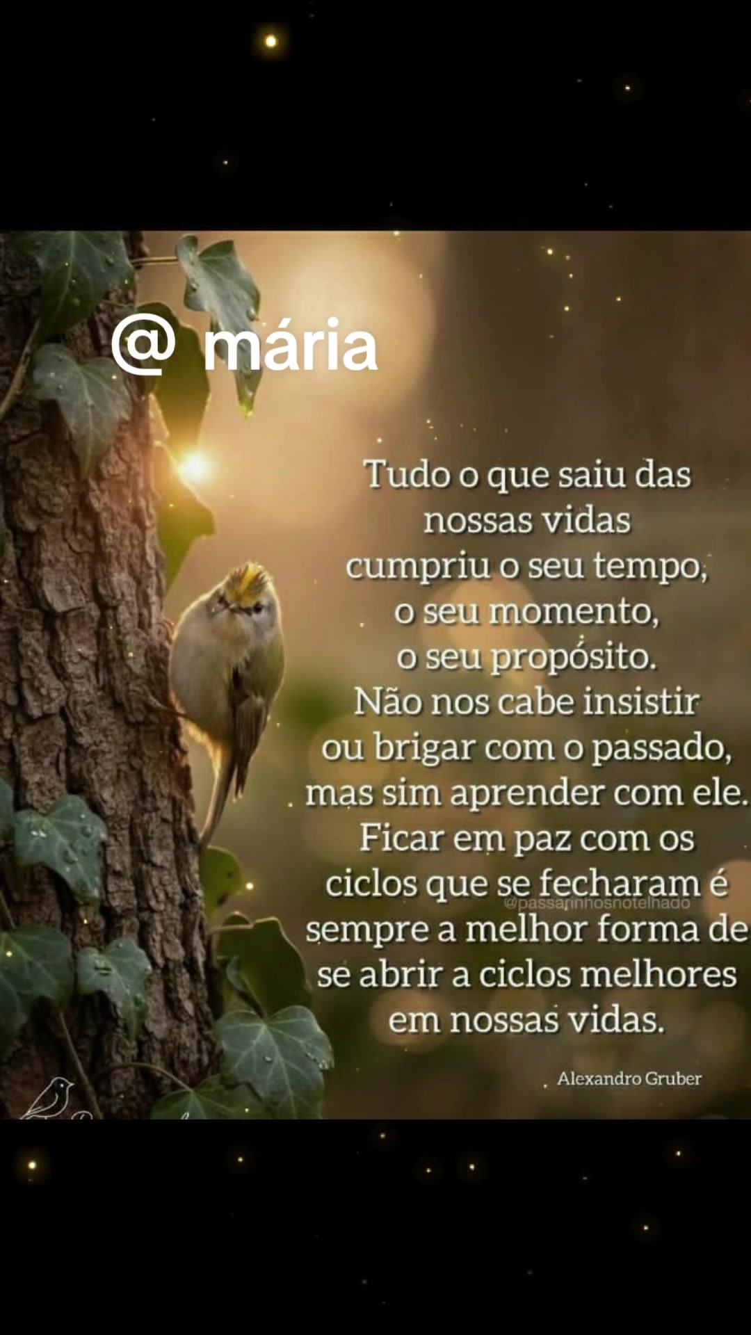 @Maria Lourdes