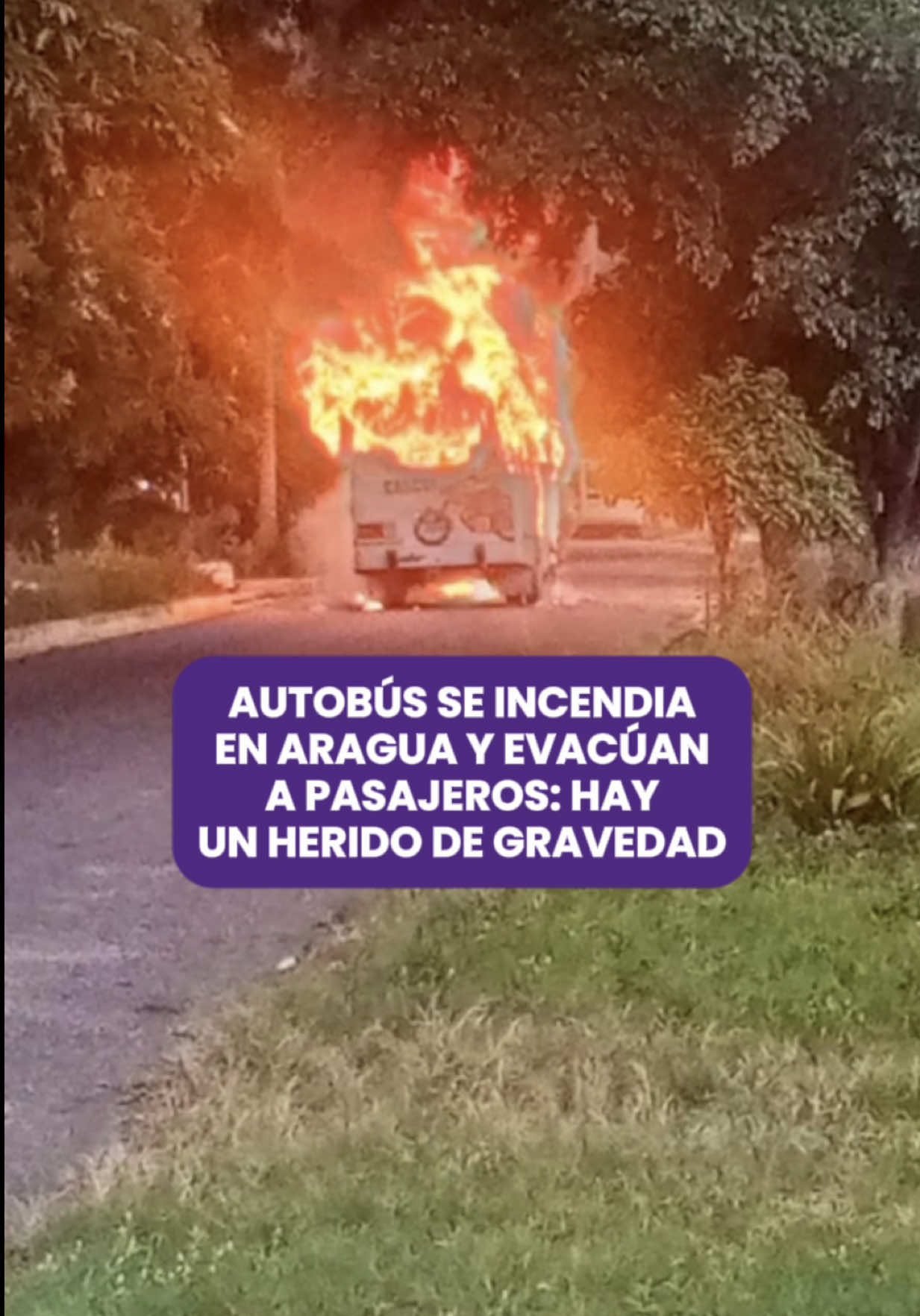 @Diario Versión Final