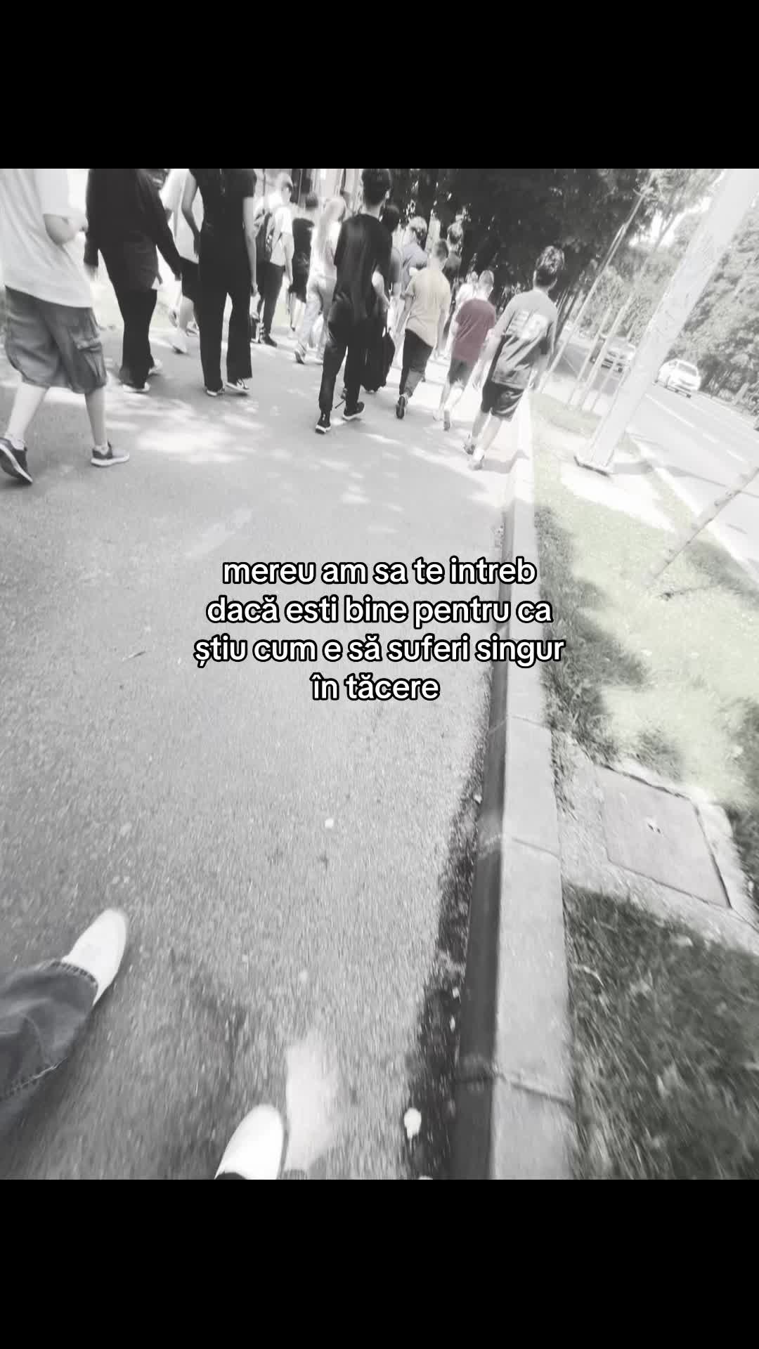 @🪽