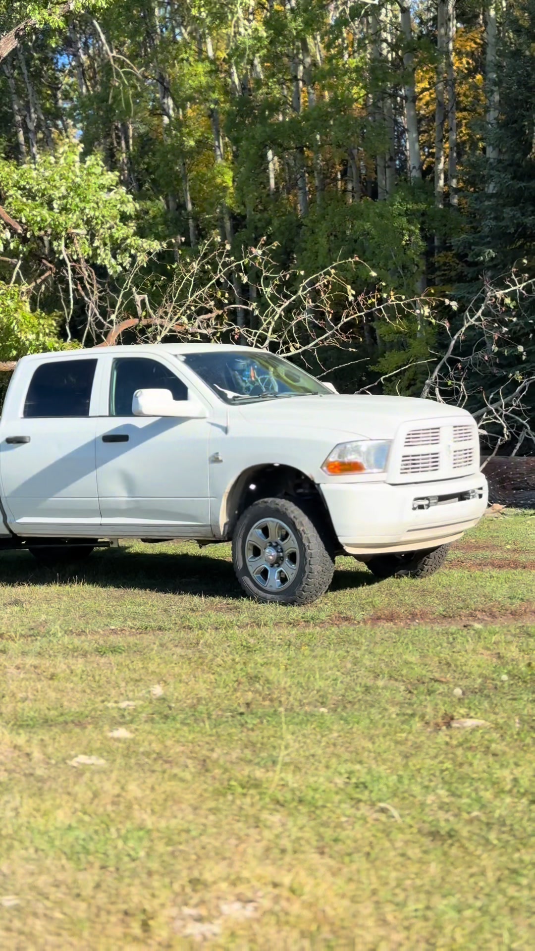 @Tyson6.7💵💵