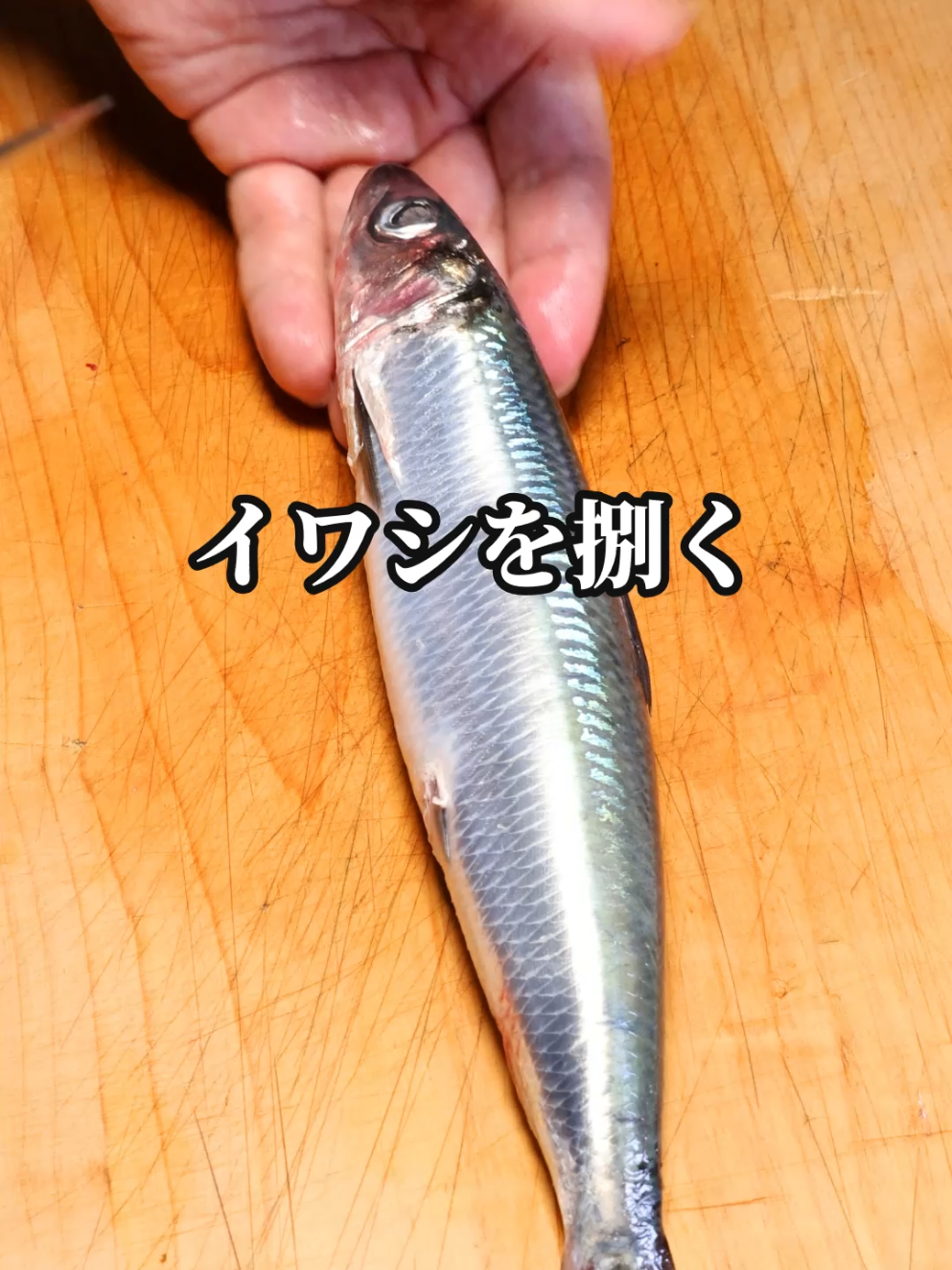 @セイゴ水産