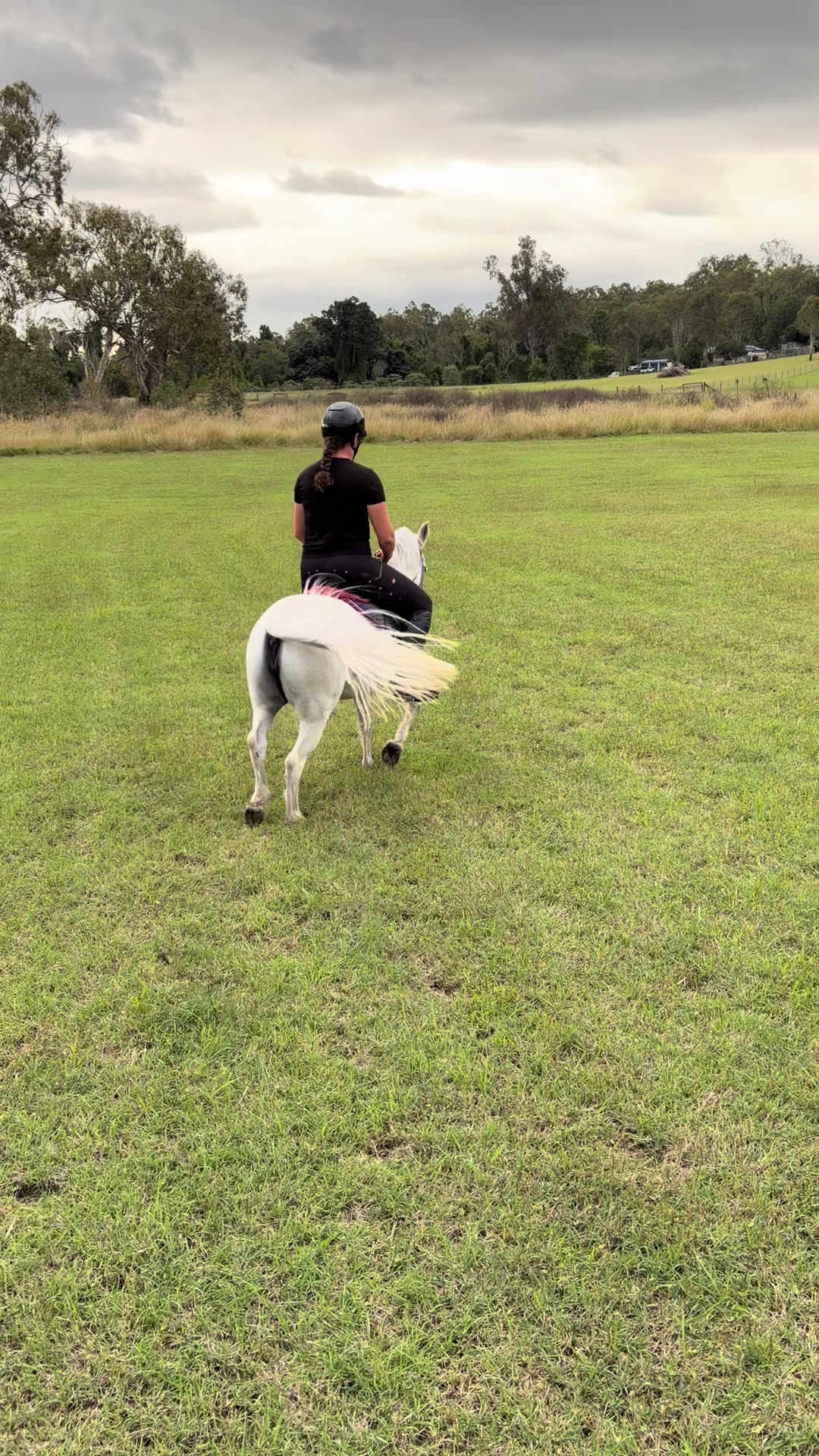 @Lola_is_my_pony