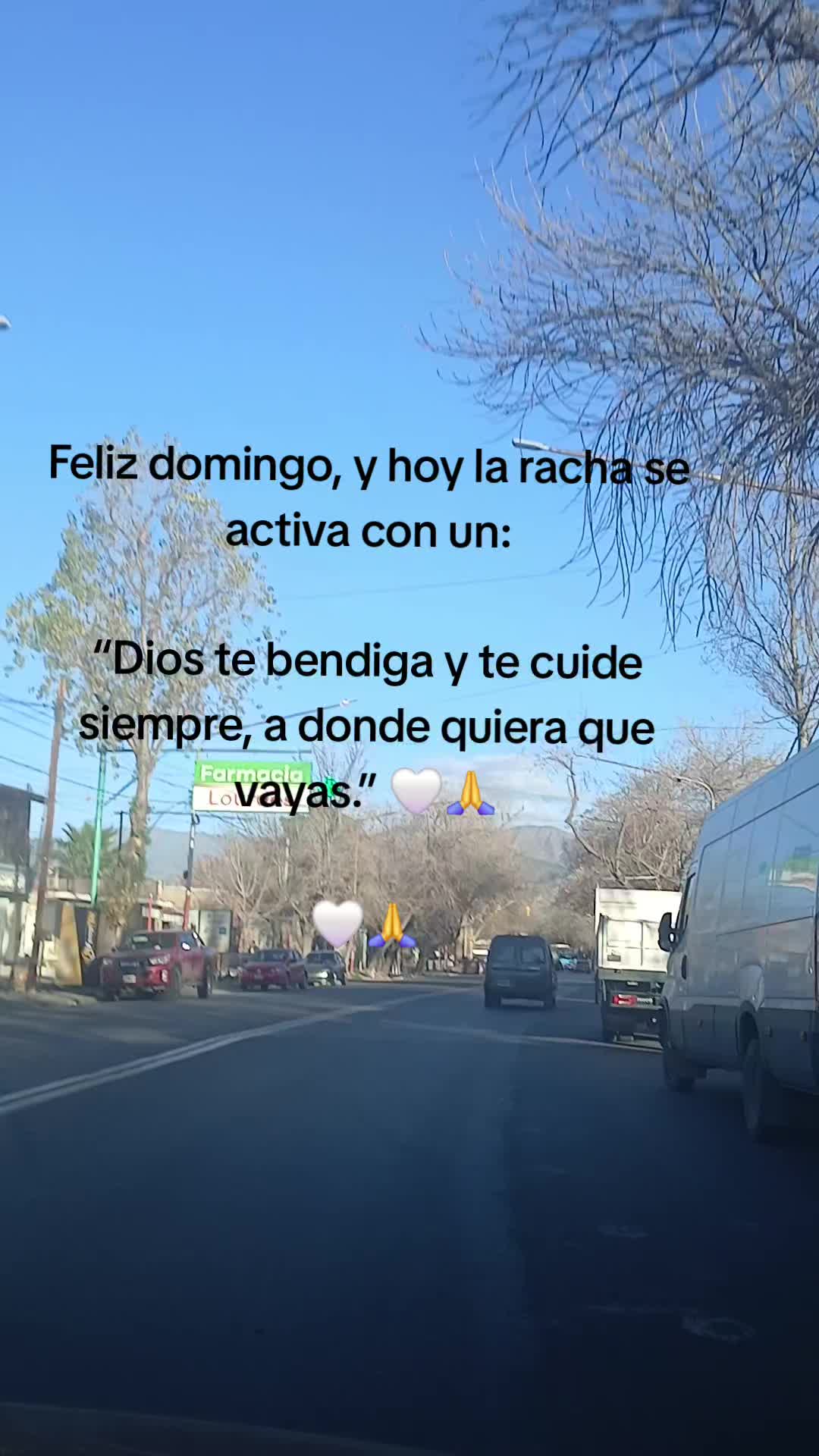 @Gabriela Torres 3022