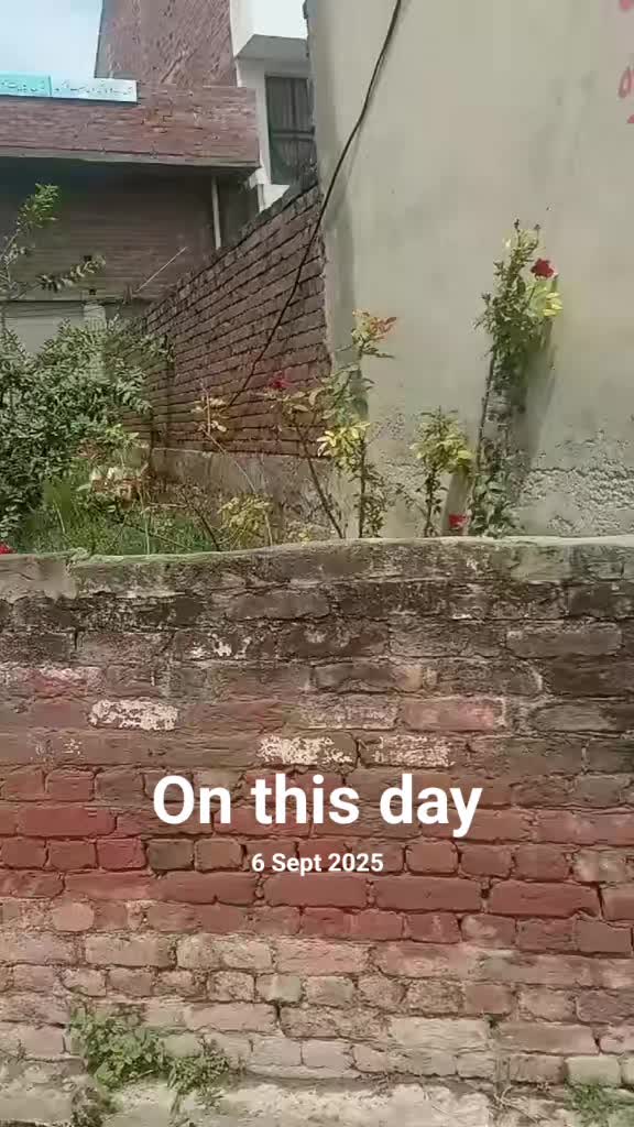 @Bushra786