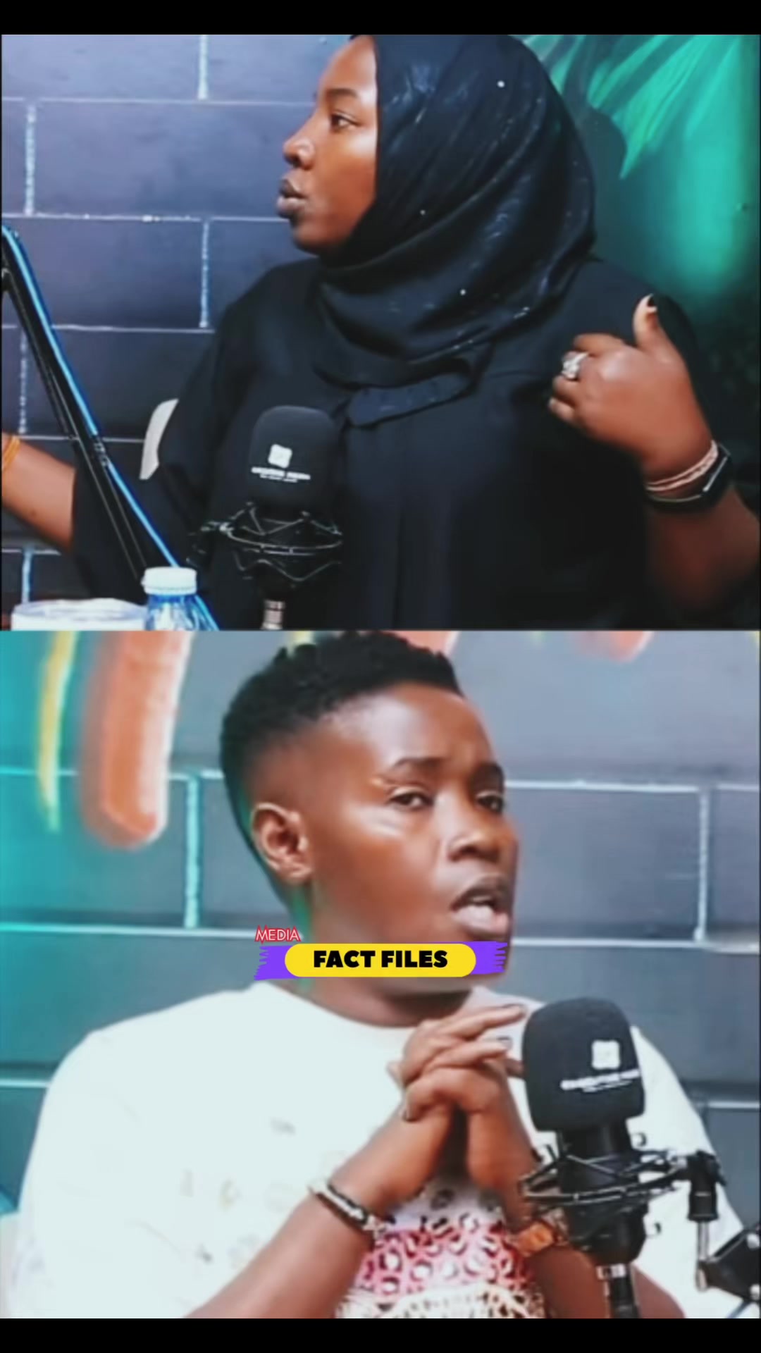 @FactFilesMedia