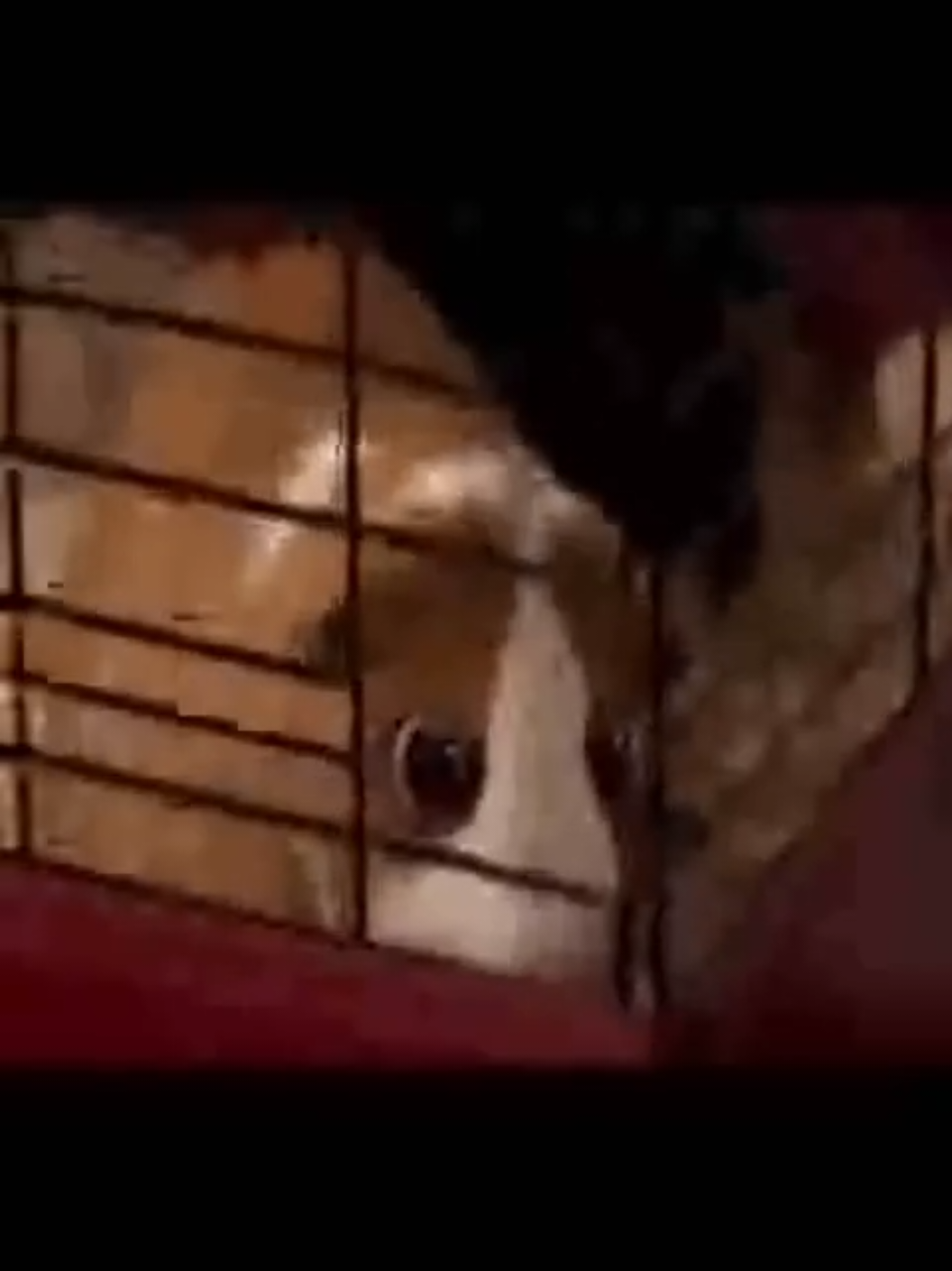 @тишаня