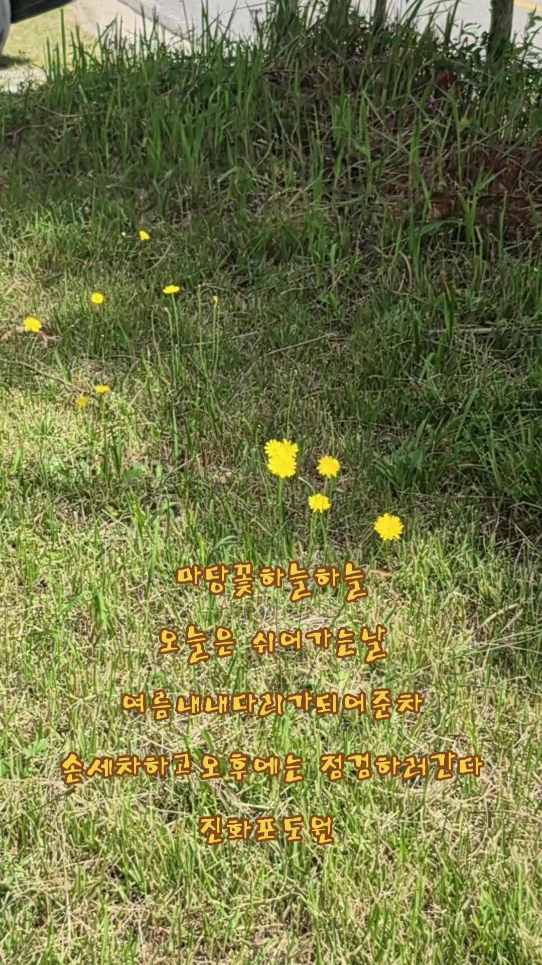 @진화포도원