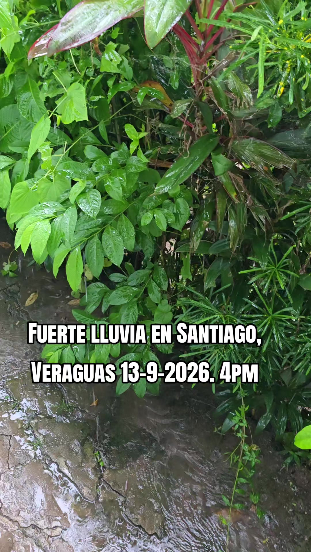 @Profe Gloria Camaño