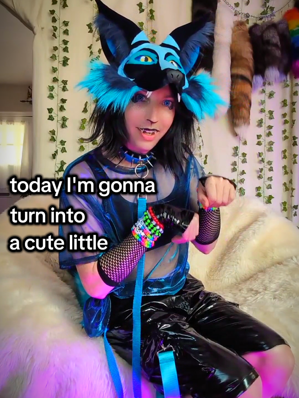 @Starlit Wolf