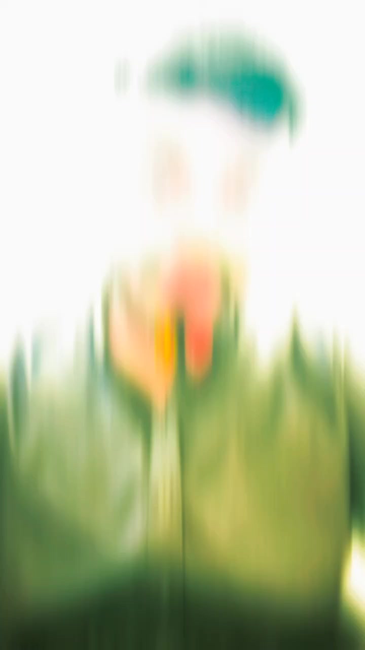 @منڈاہر بیل 4͓̽7͓̽9͓̽