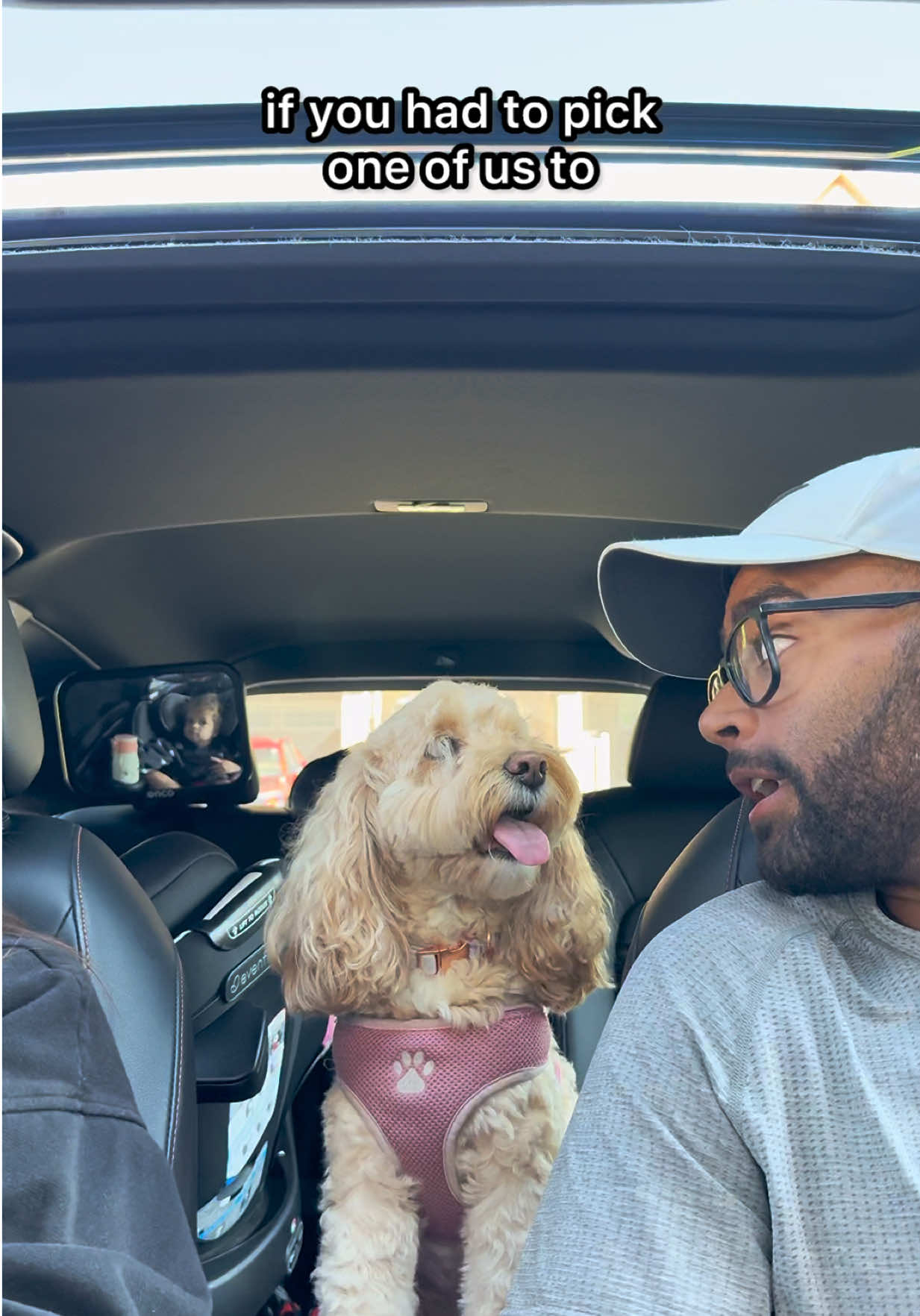 @LunaTheMiniCockapoo