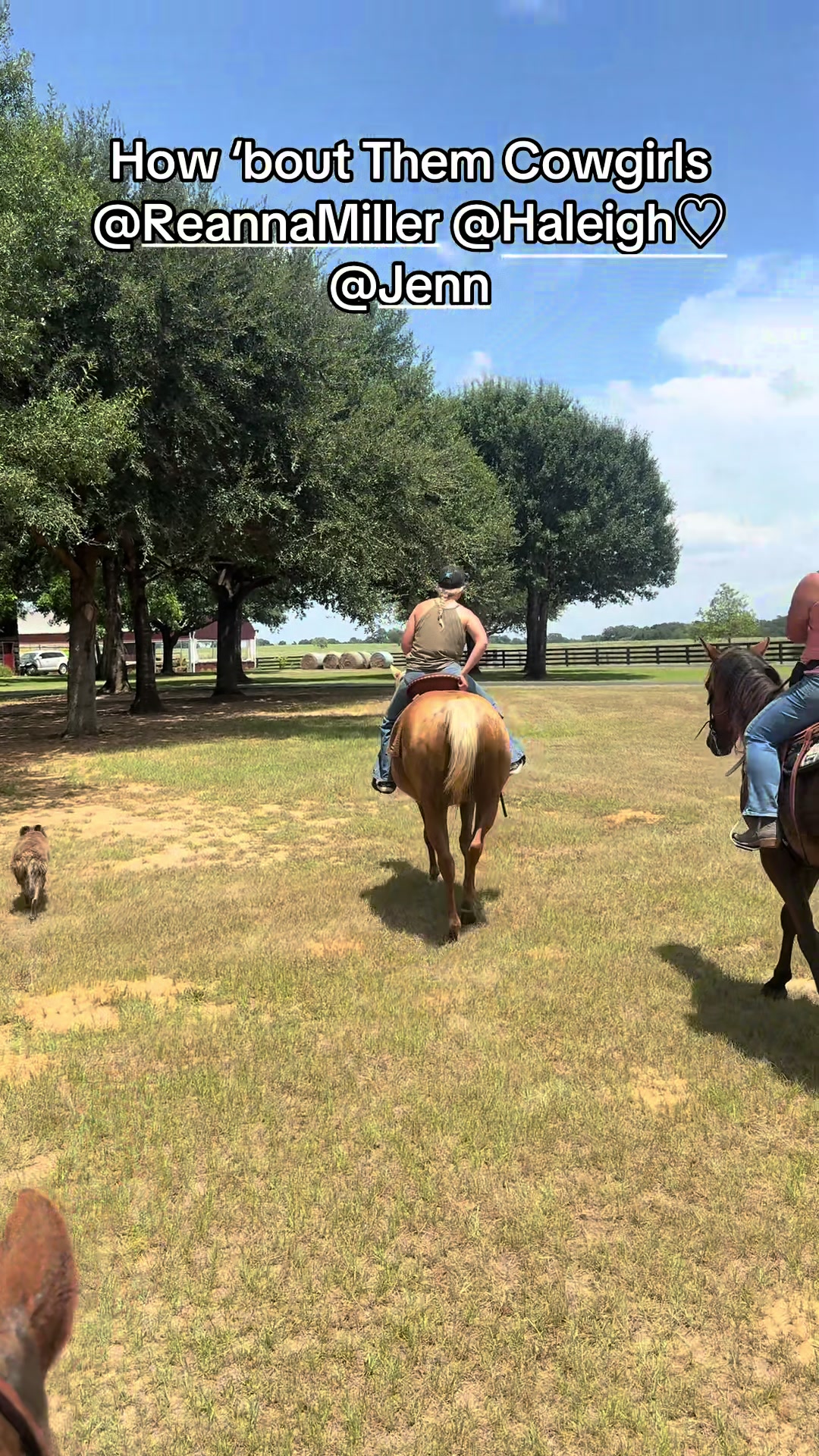 @bestlifetexas