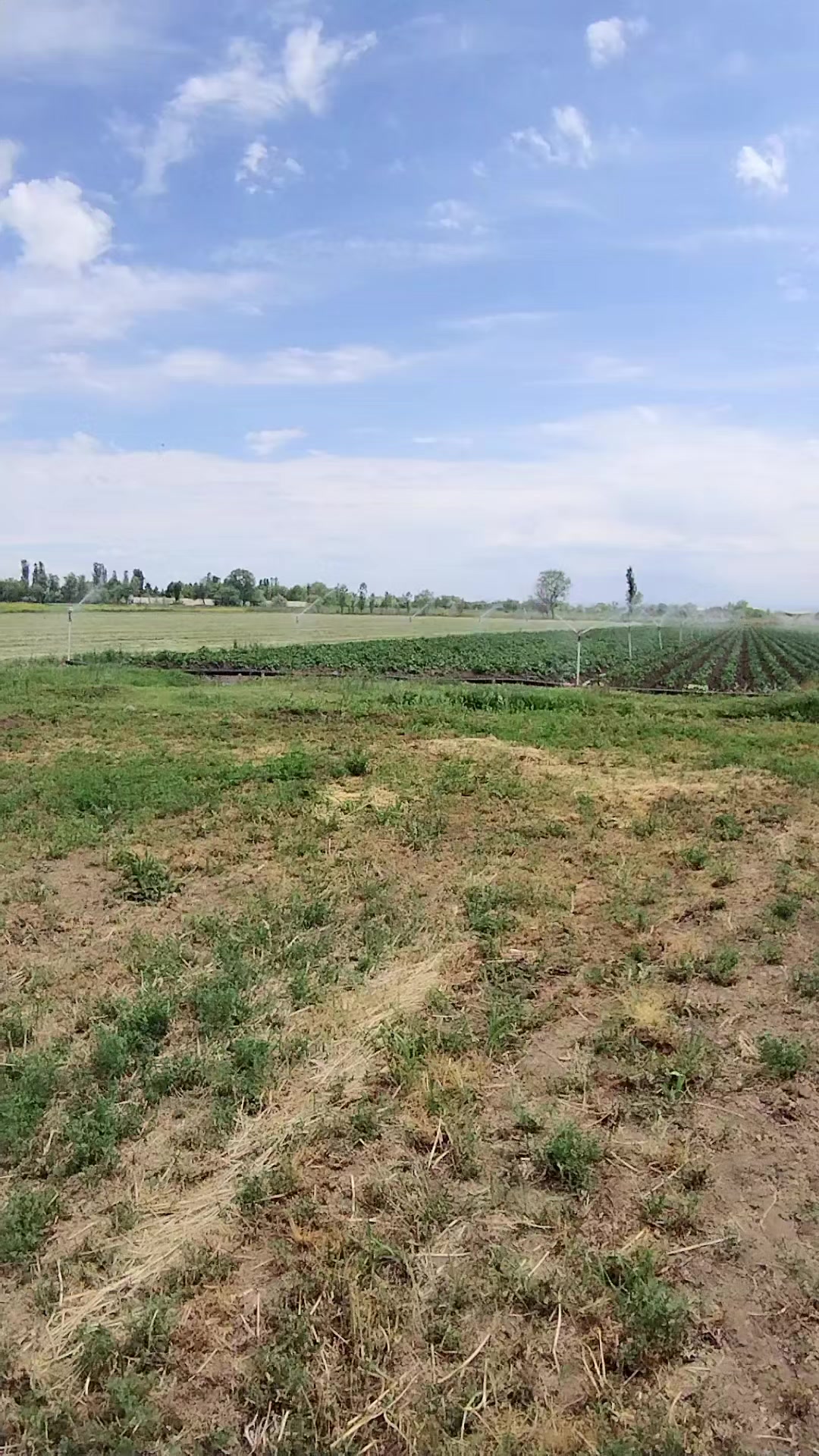 @Receb 05 05