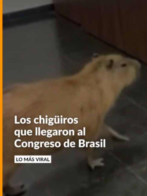 @Noticias Caracol