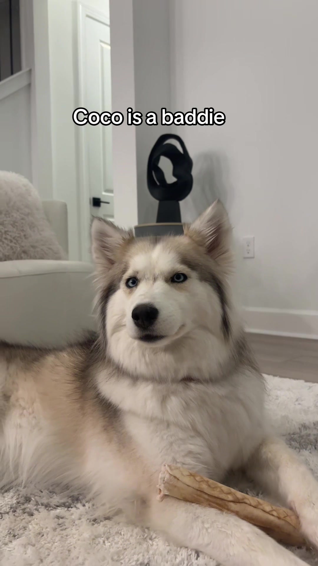 @lifewith2huskies