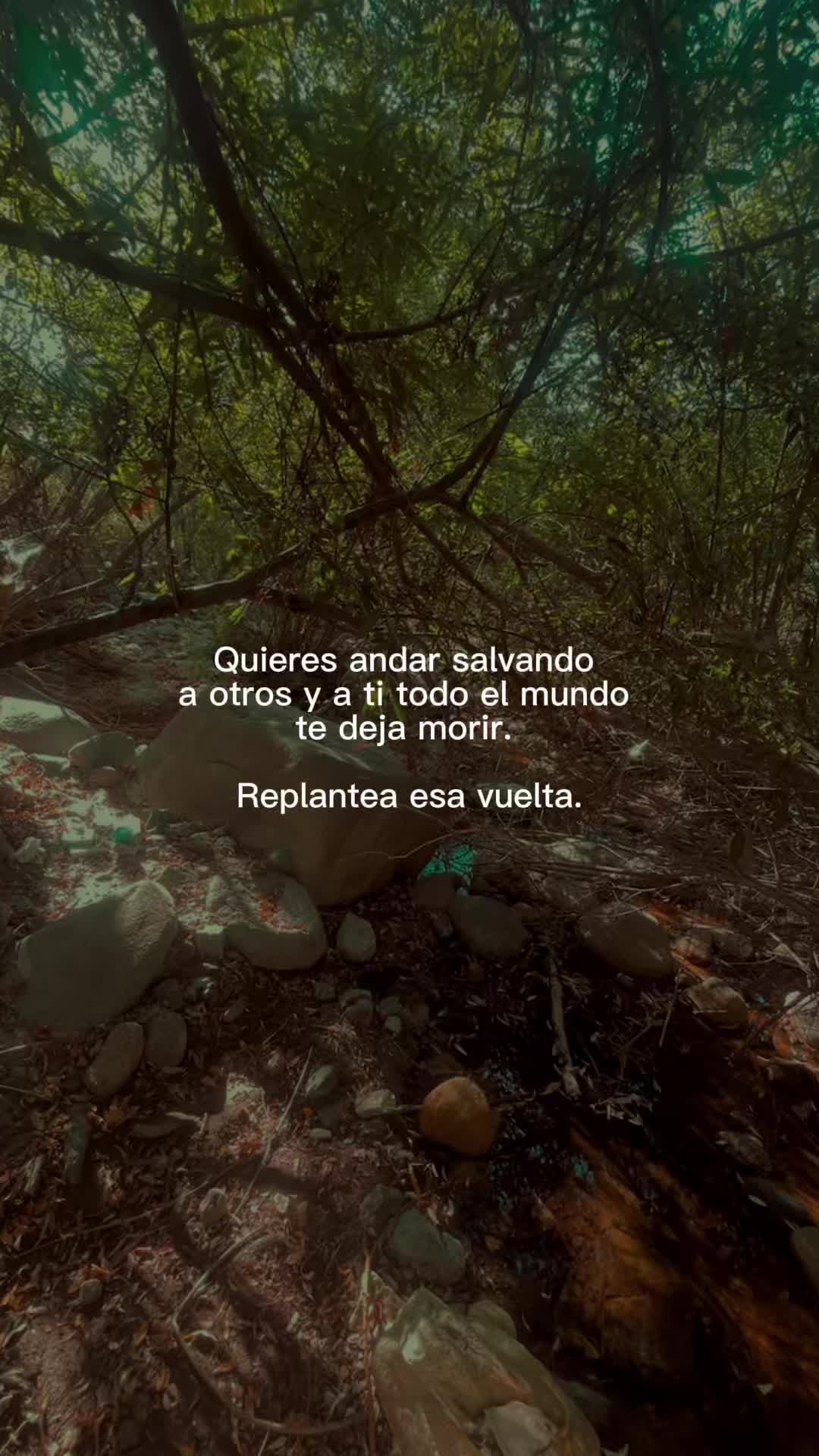 @Darlyn Hernandez