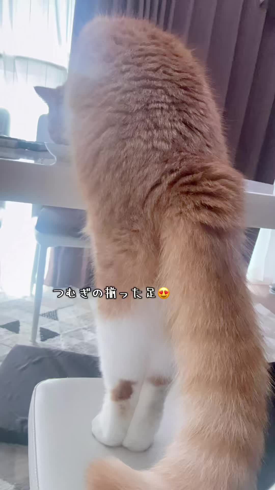@マロン
