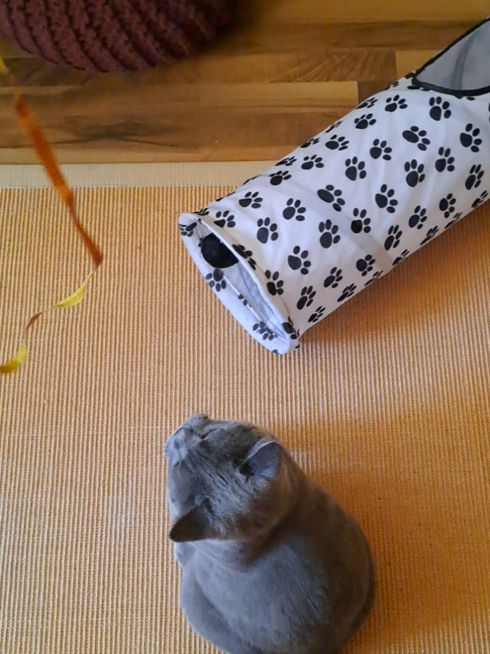 @pawshakers