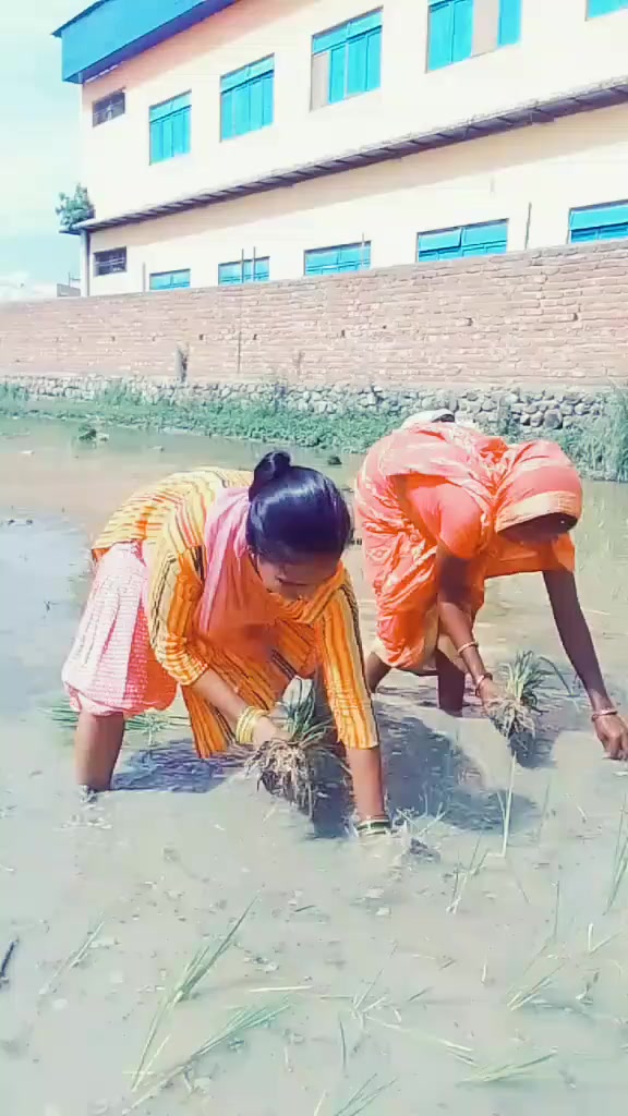 @Anita Gupta