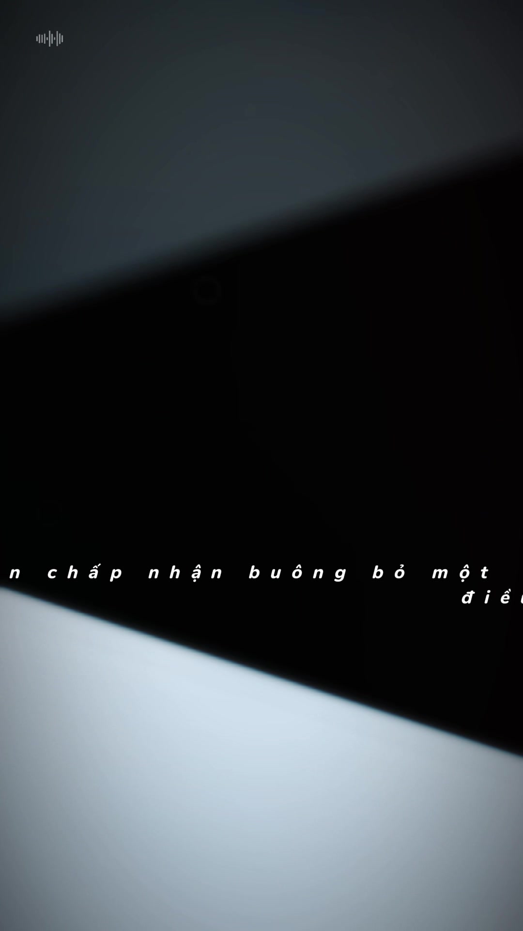 @gấu trúc