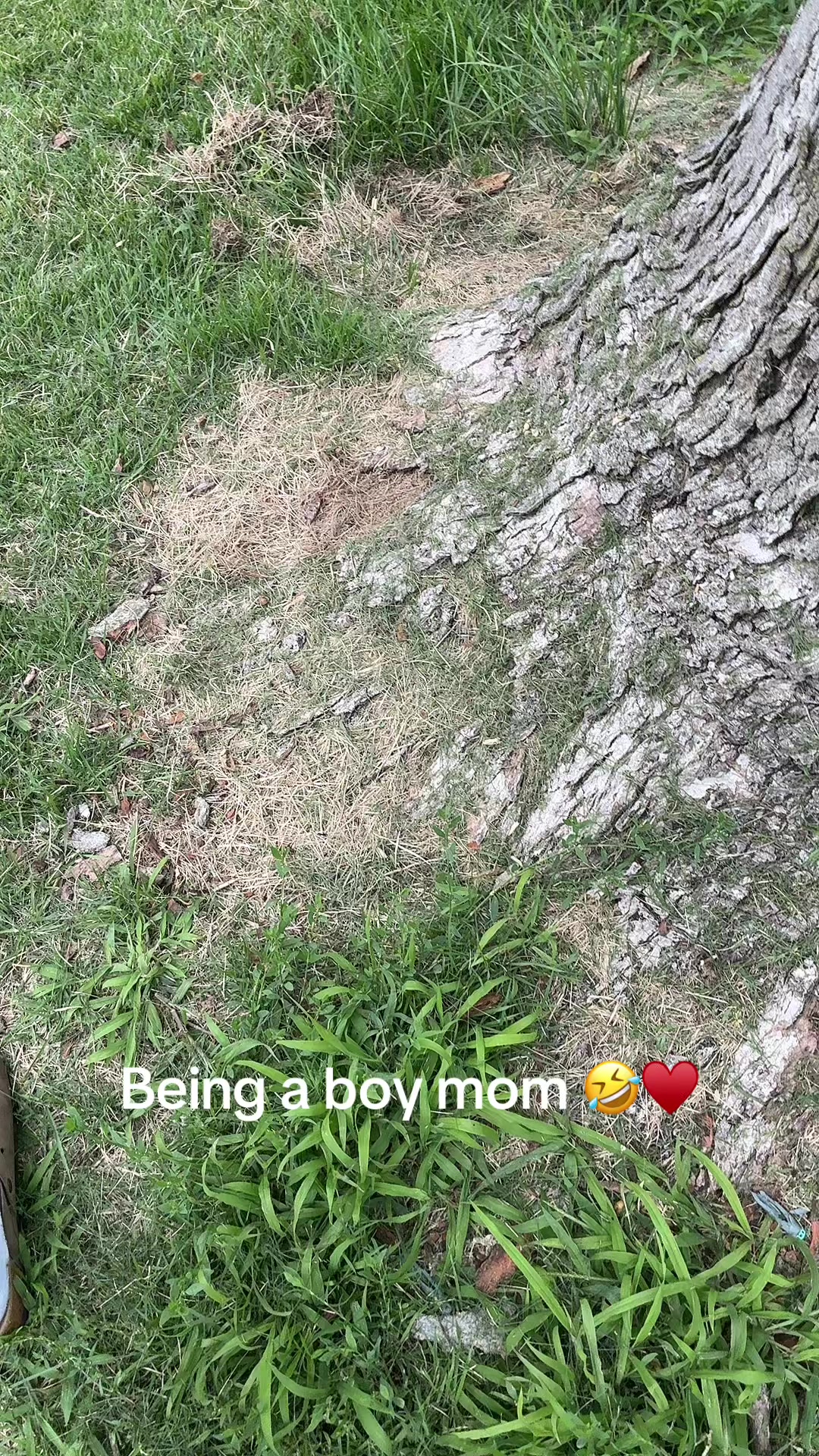 @KMoMiller