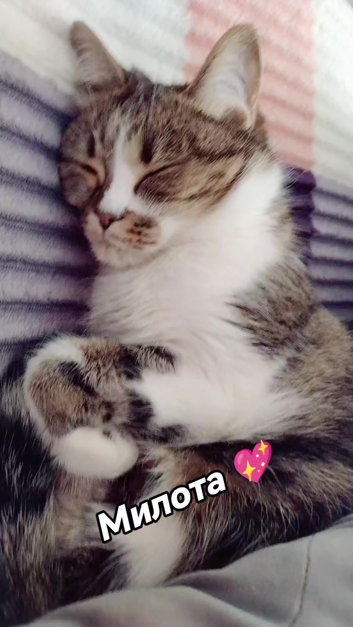 @&hearts;️МАЛЕНЬКАЯ &hearts;️