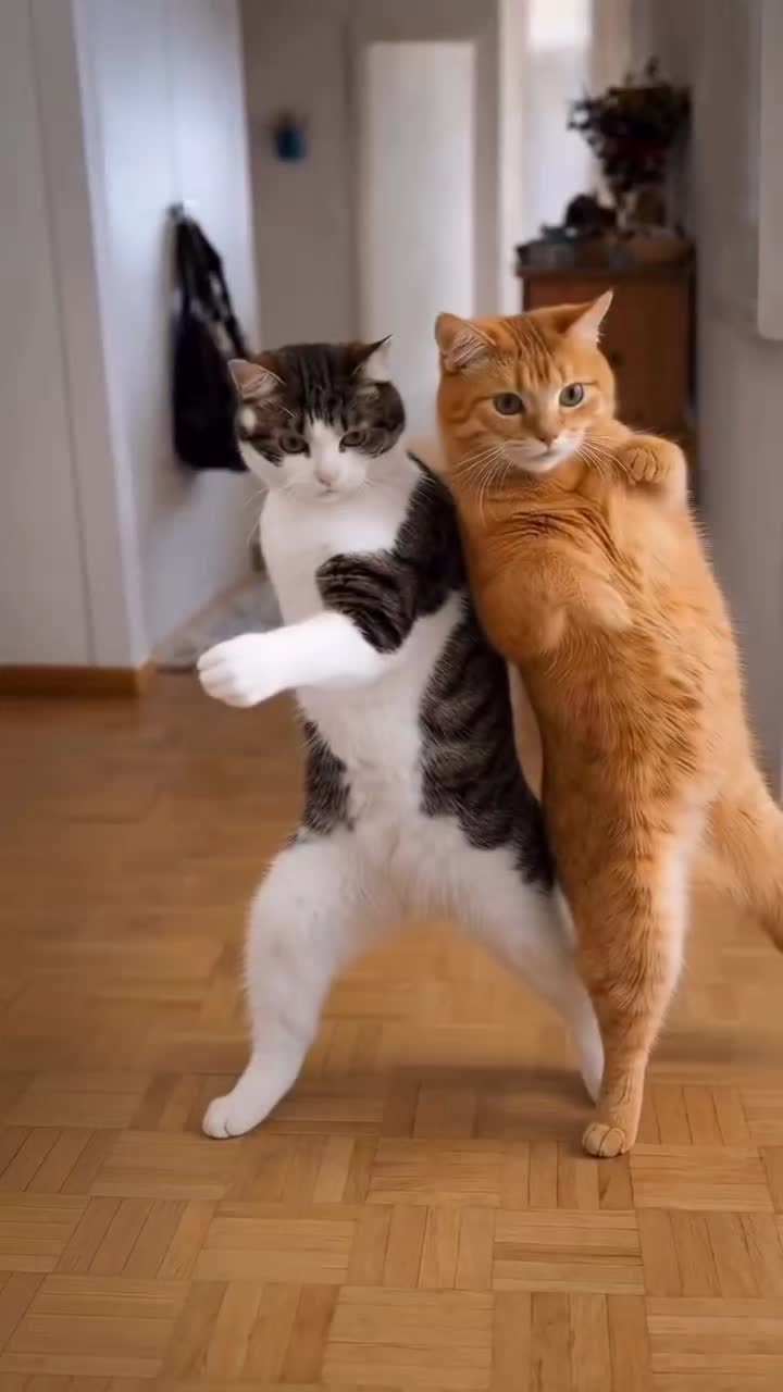 @😻😻𝕒𝕟𝕓𝕦😻😻