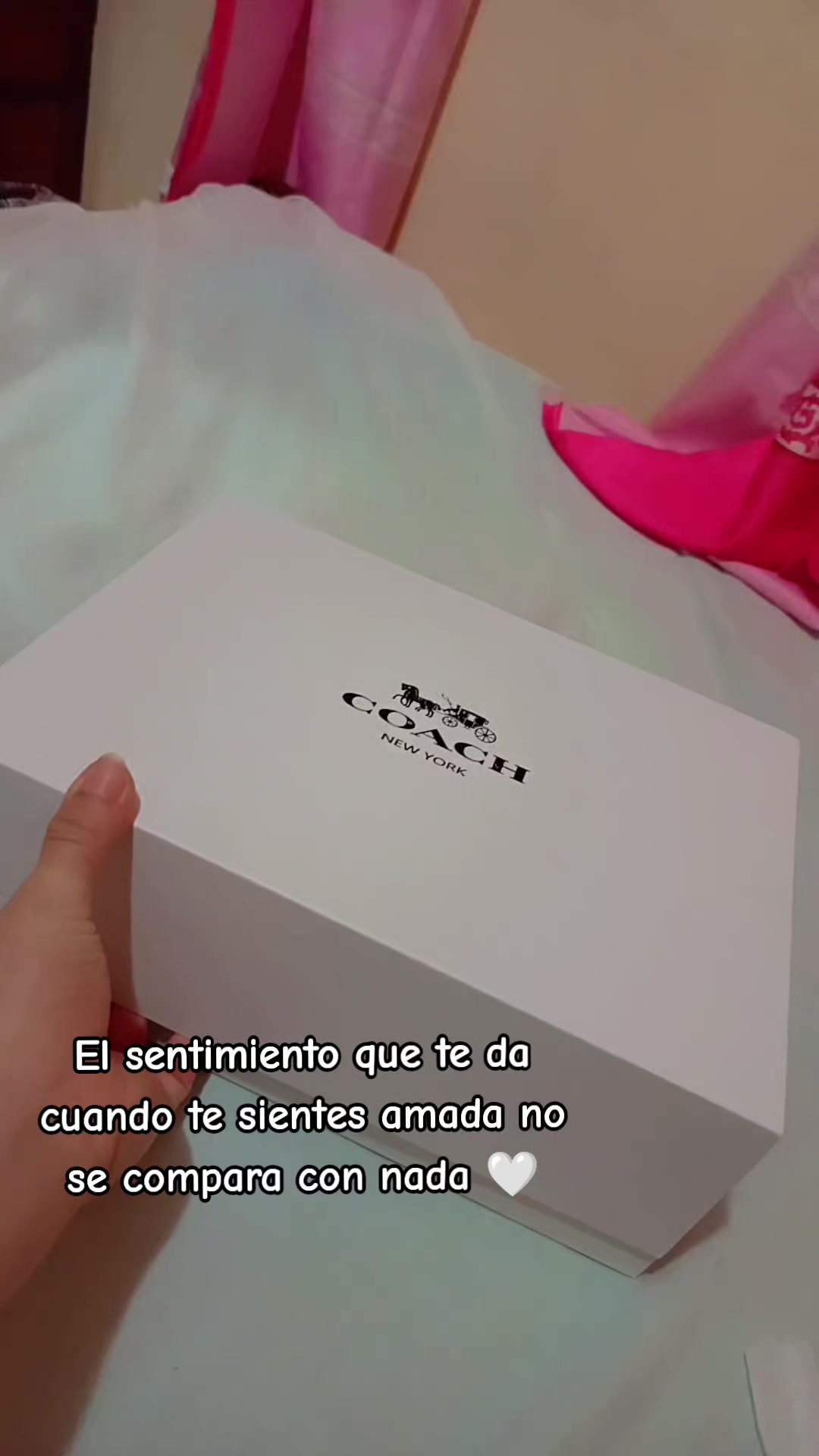 @odalis891