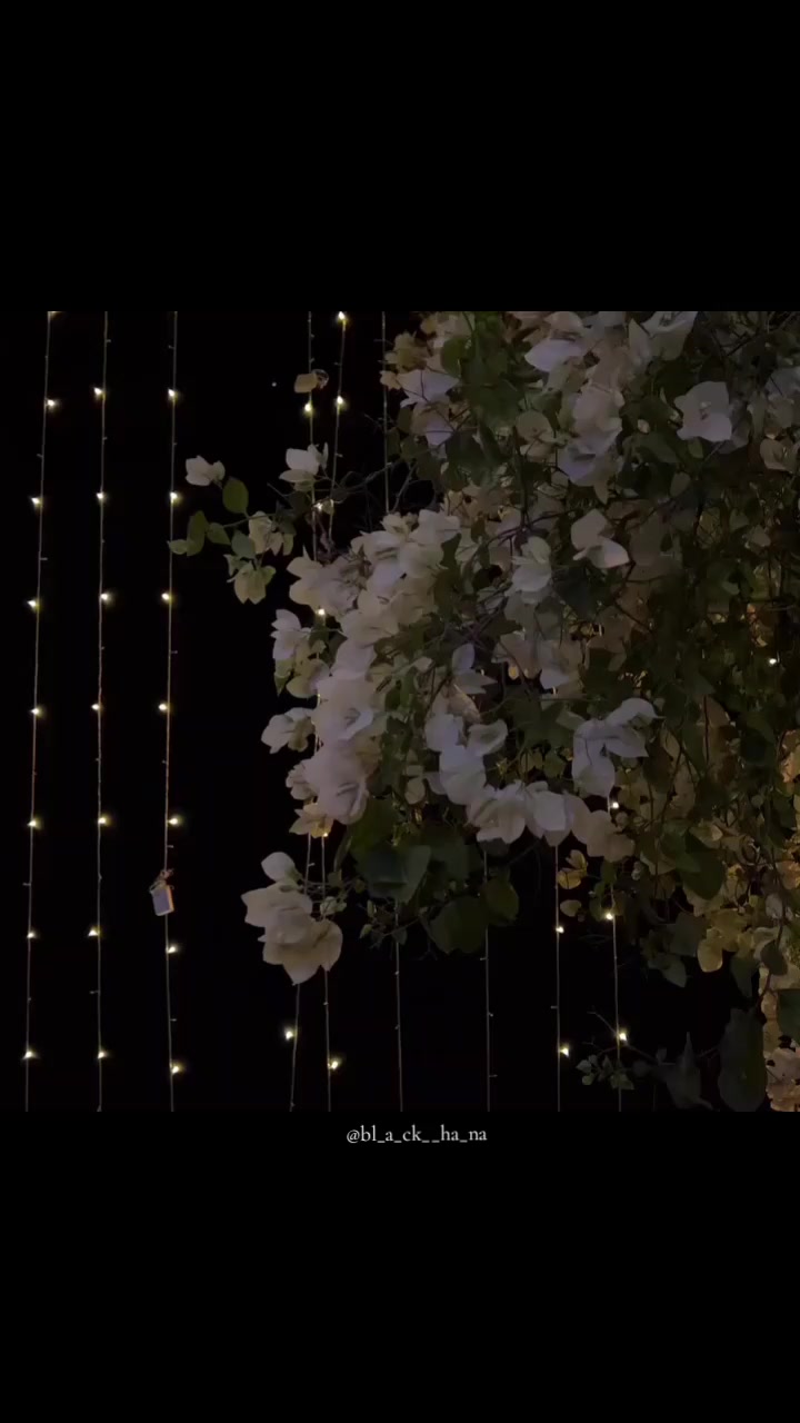 @Ha_Na🌻