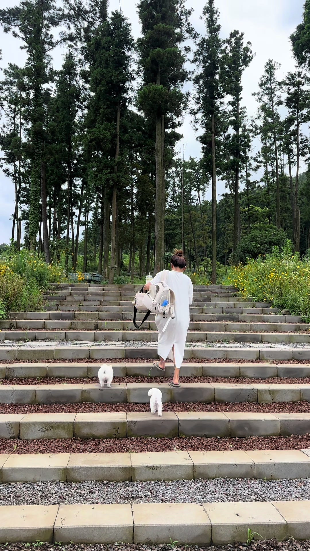@jeju_kiki