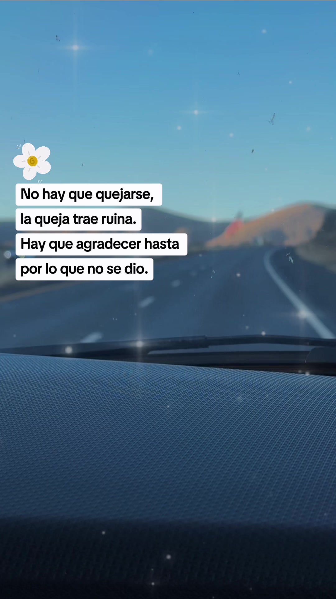 @silvia H
