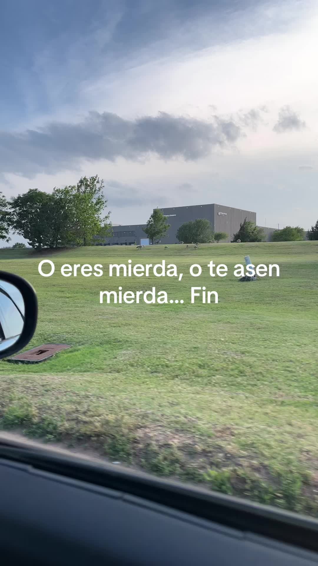 @Bibi