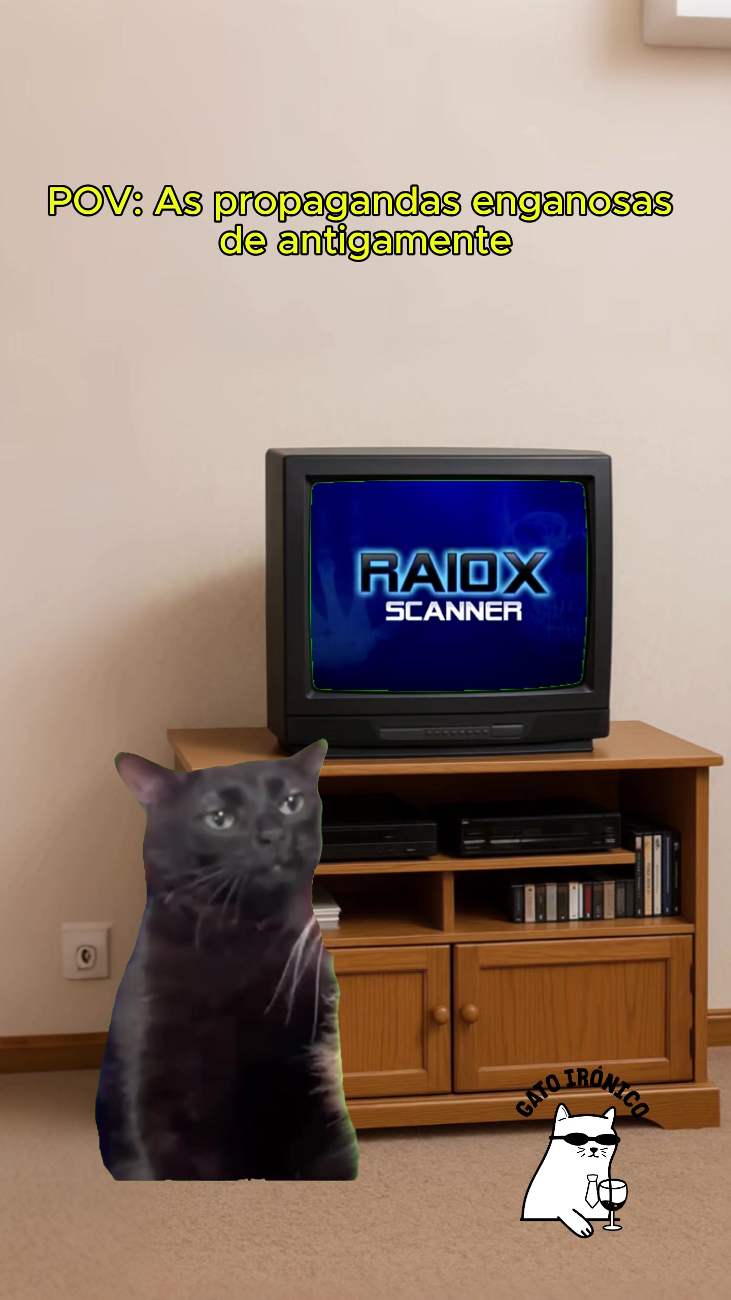 @gato ironico