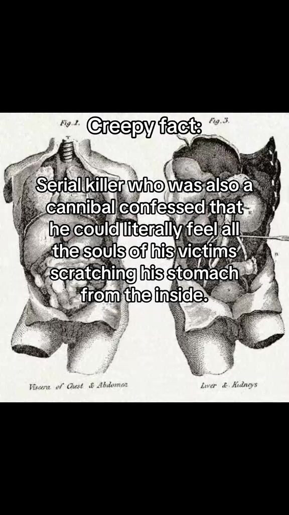 @Horror Fantasies