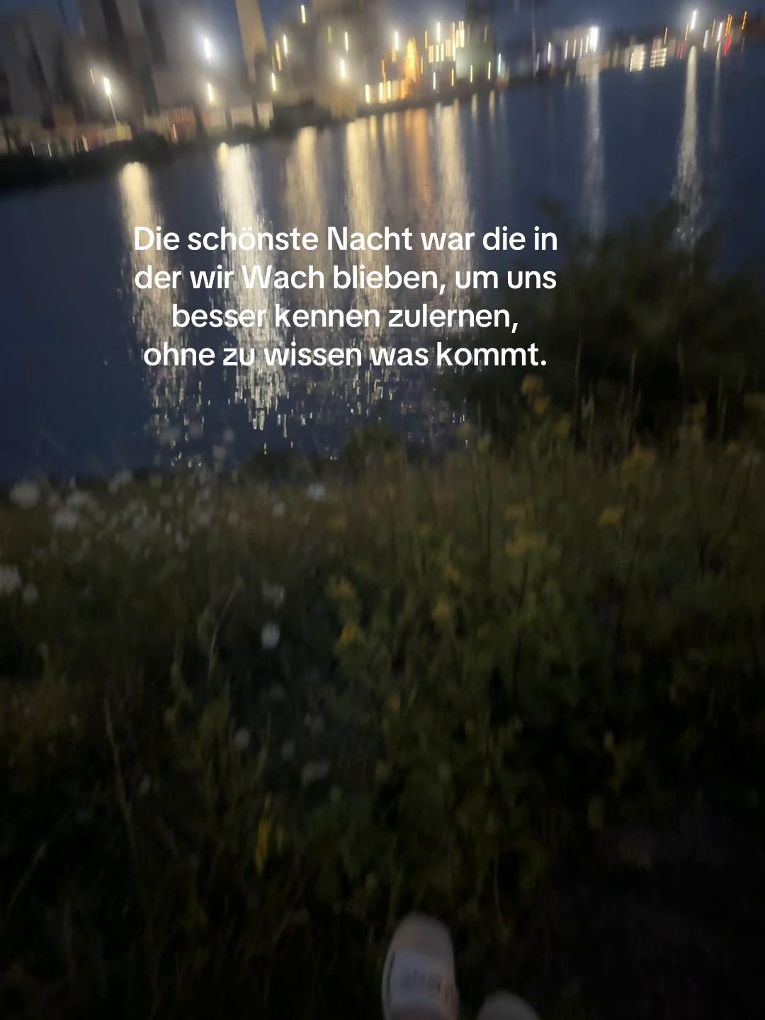 @🌸 &Lambda;&bull;V 🌸
