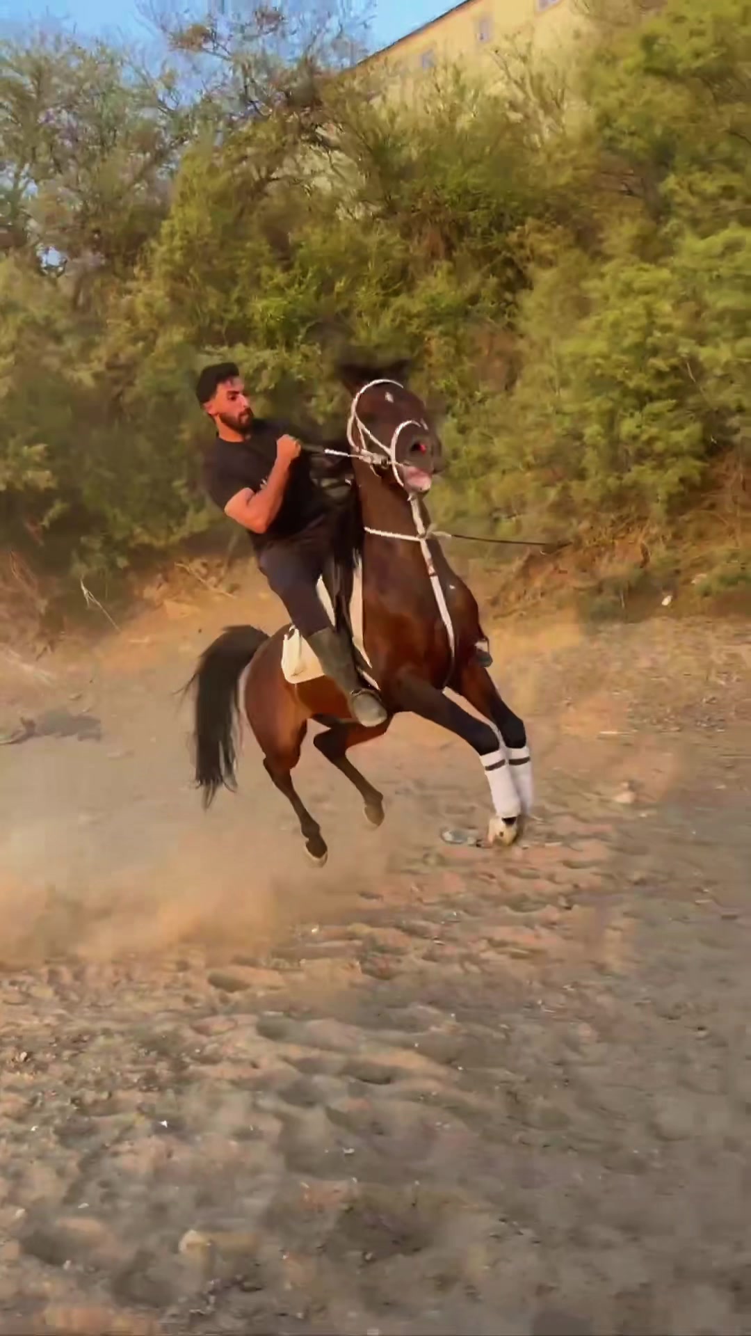 @بـاسـل الـوادعـي⭐️🐎